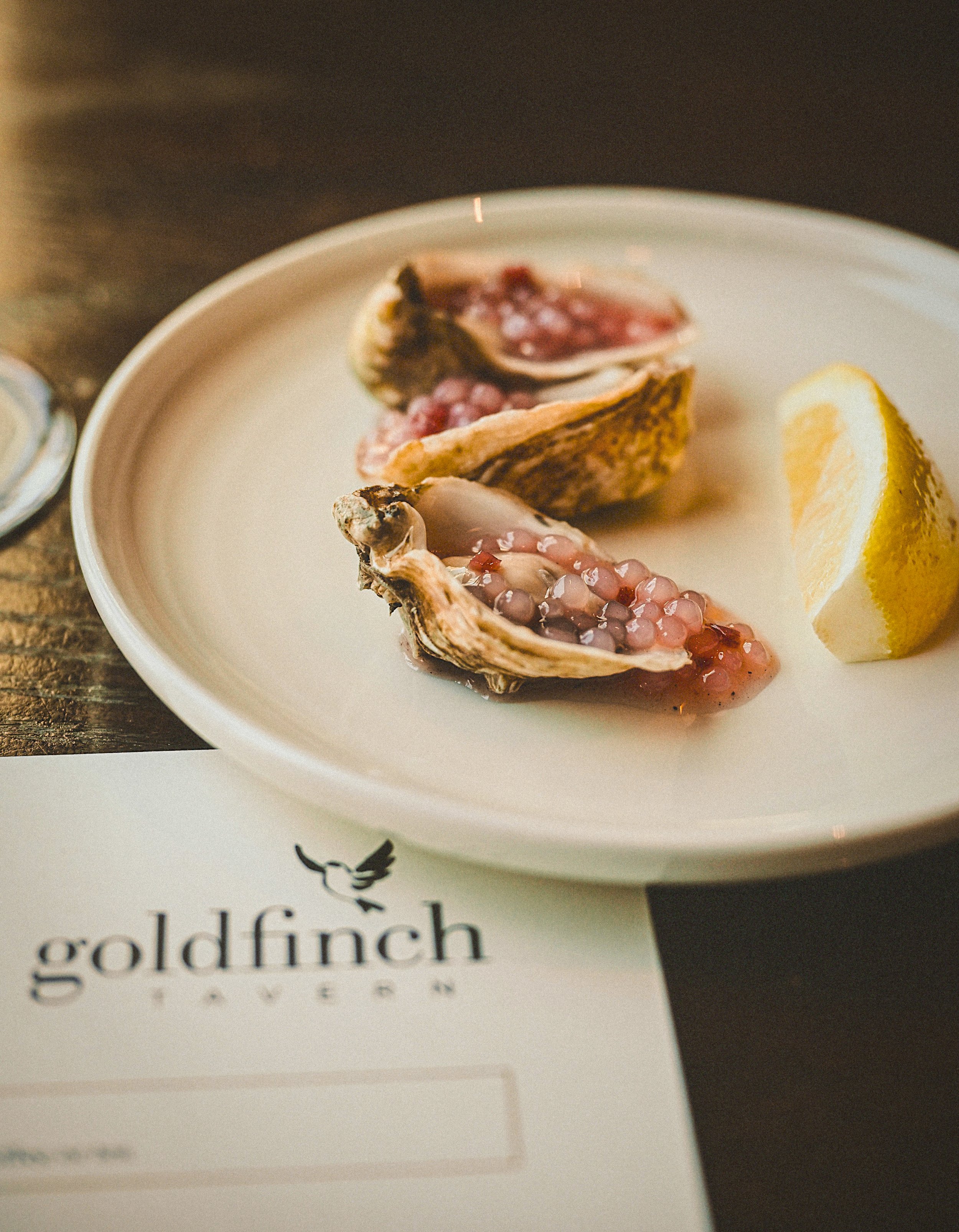 @hollyachilds - goldfinsh-3.jpg