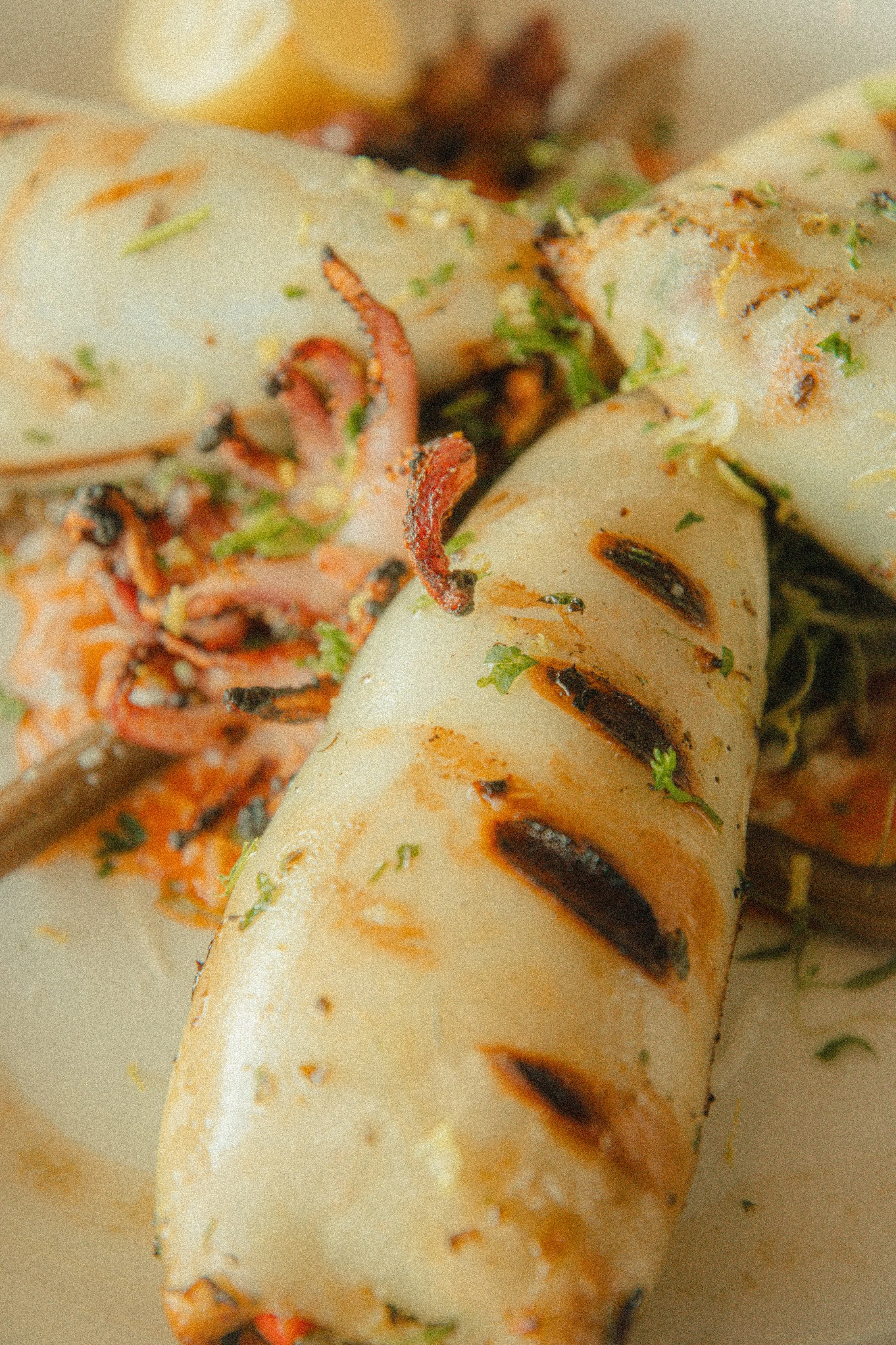 @hollyachilds - oregon coast-71.jpg