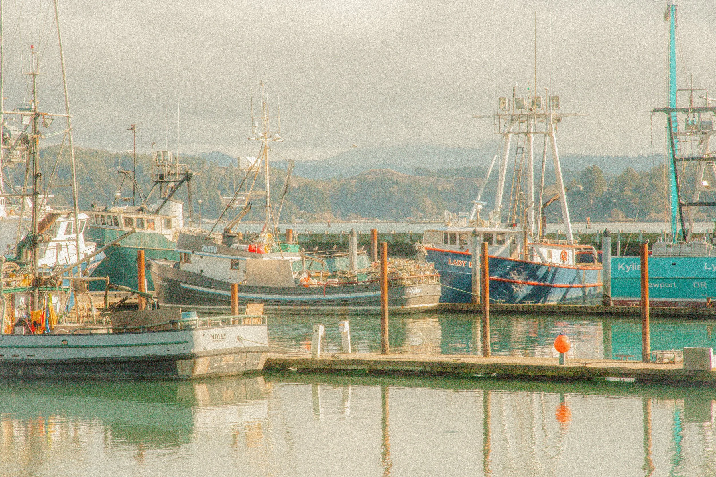 @hollyachilds - oregon coast-69.jpg