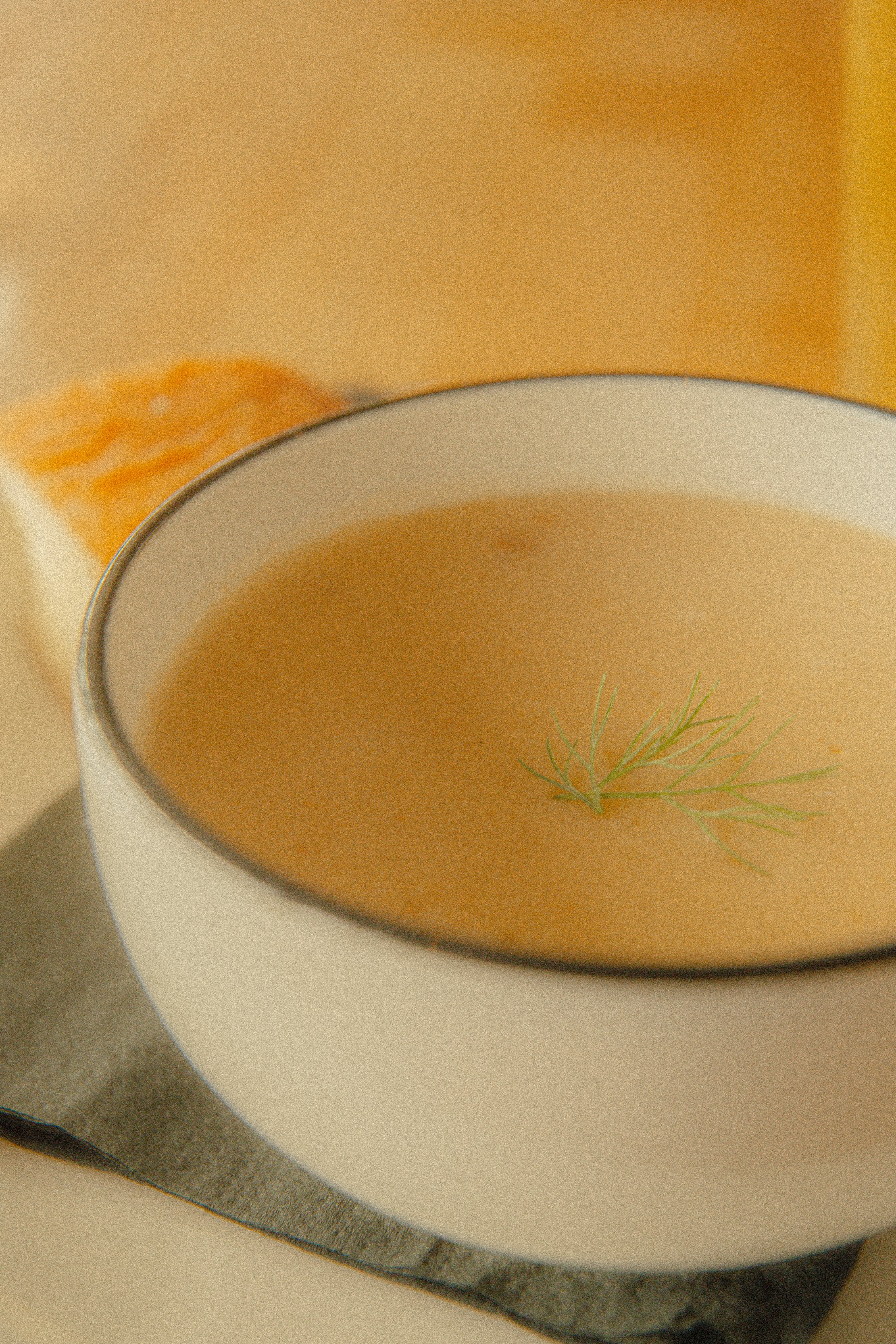 @hollyachilds - oregon coast-61.jpg