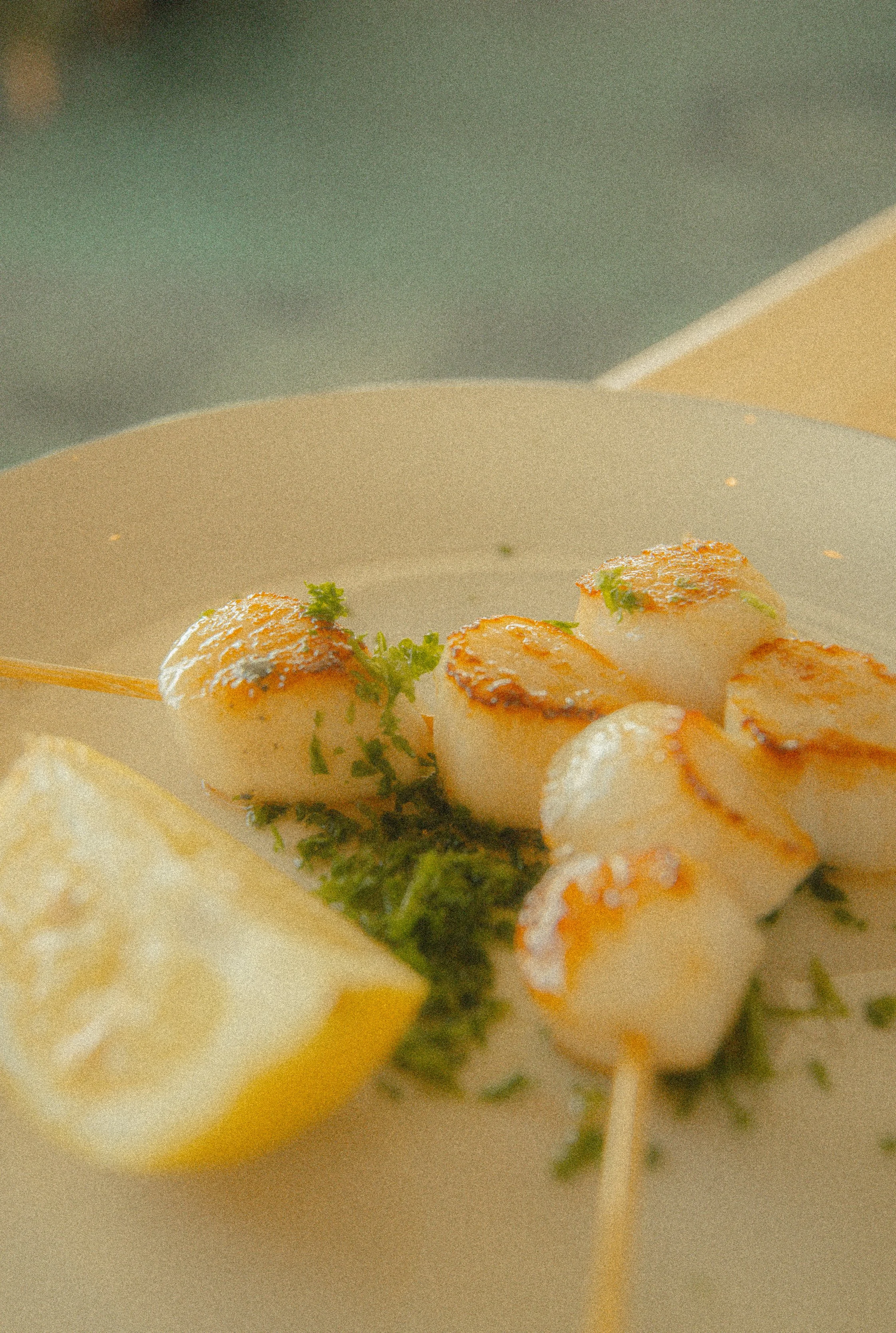 @hollyachilds - oregon coast-62.jpg