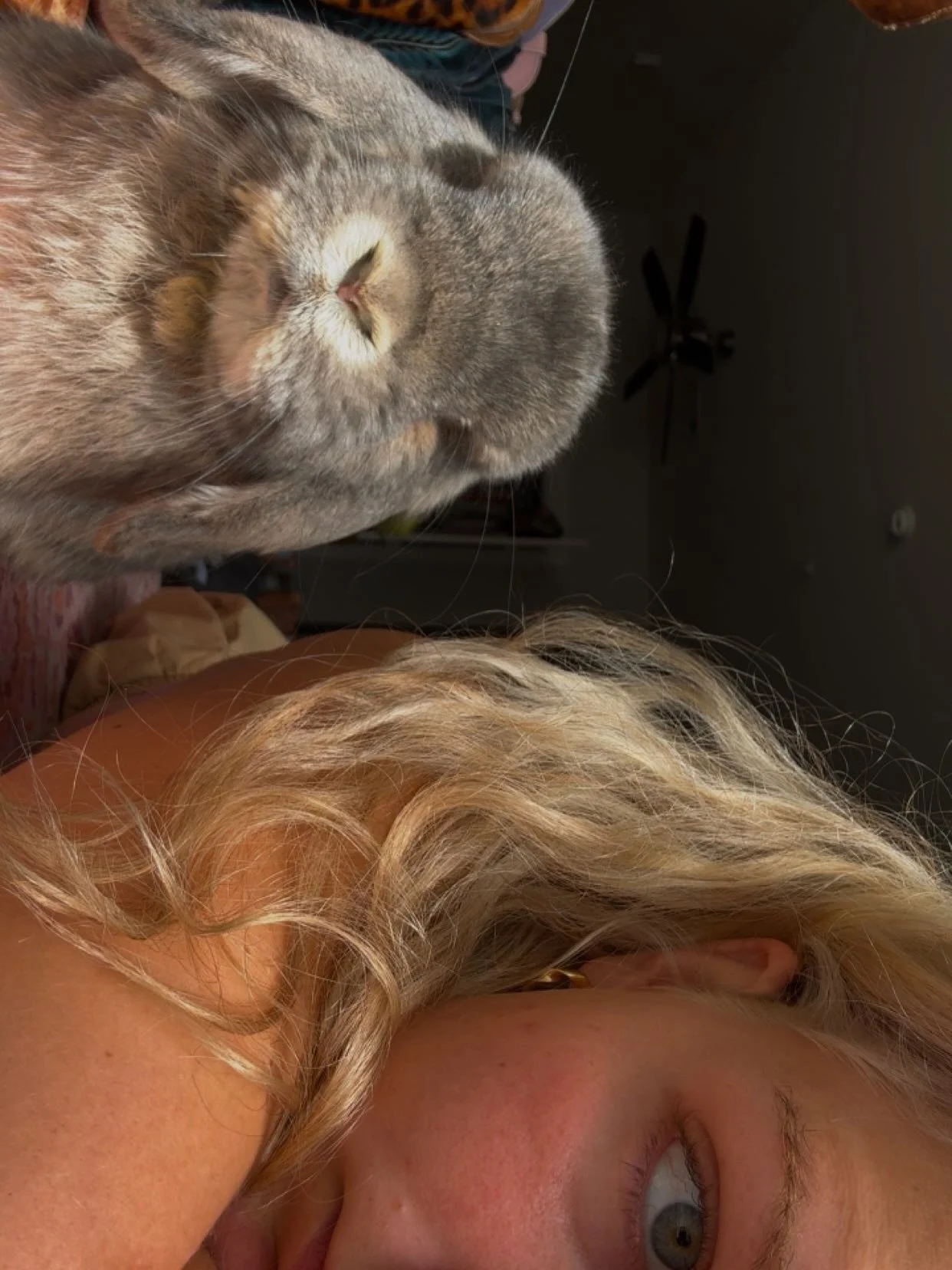 the Easter bunny?? Uh yeah&hellip; I&rsquo;m familiar.