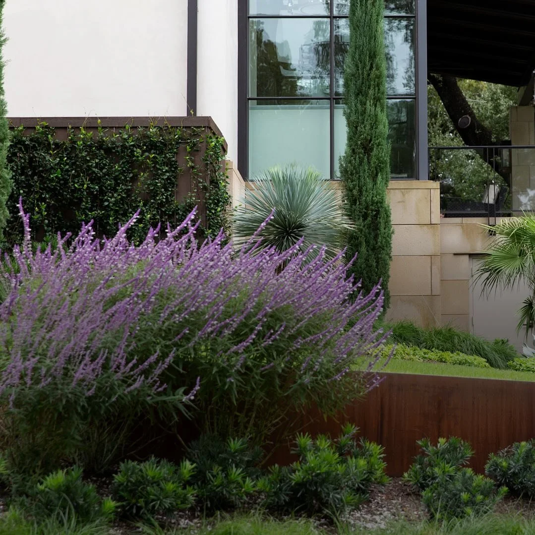 Studies show gardening 🌱 makes you live longer - and increases your home value. 😏 #winwin