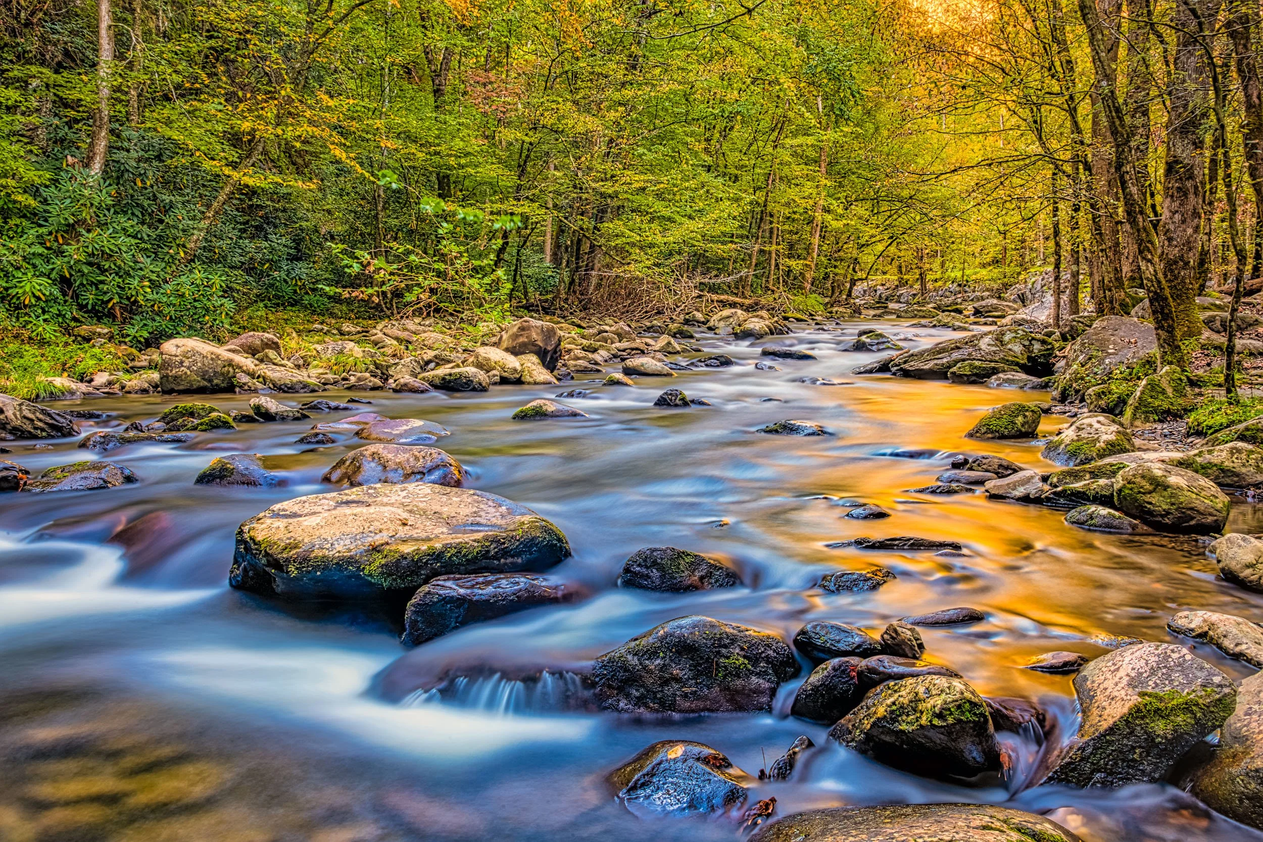 Tennessee-27.jpg