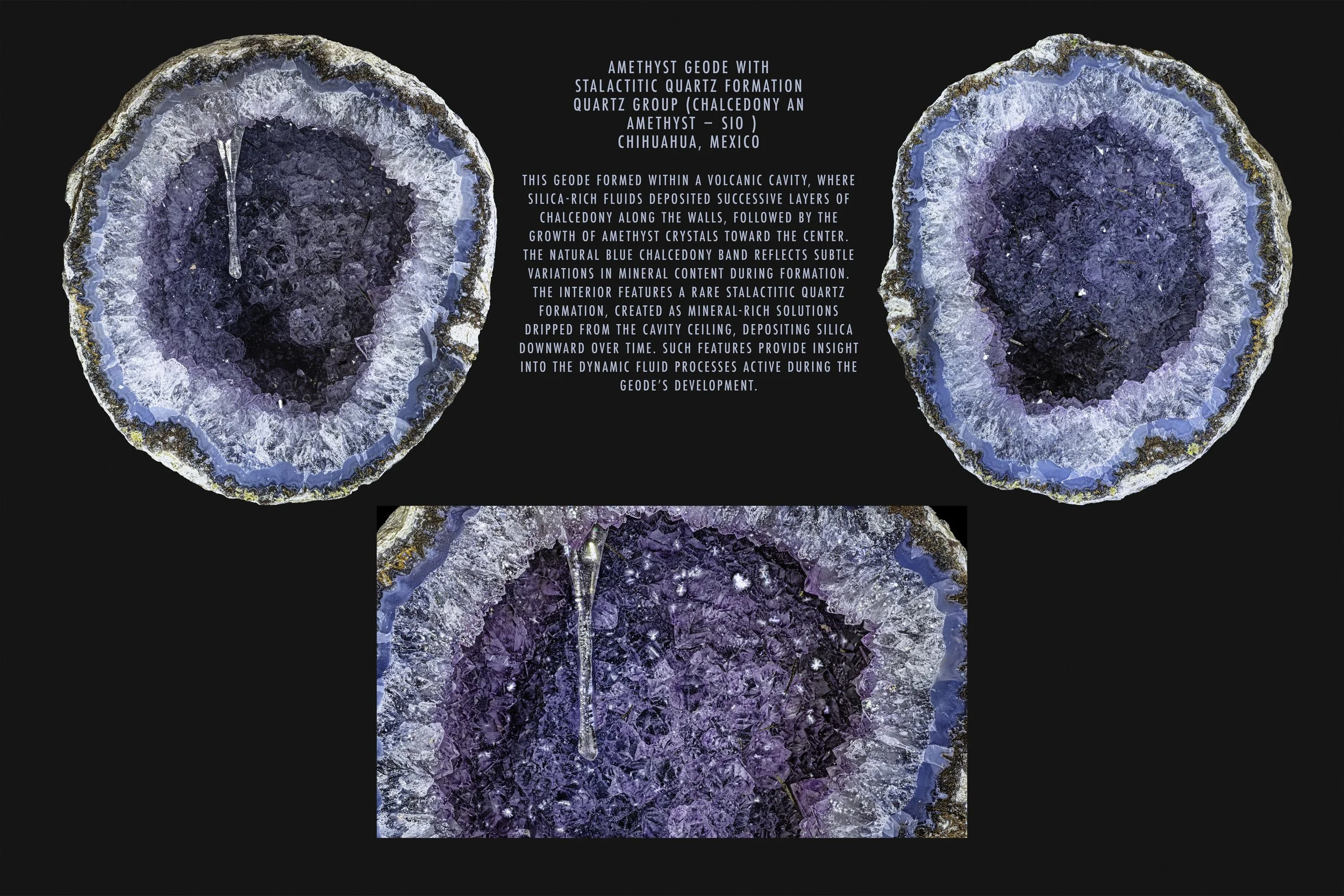Cross-sections of amethyst geodes showing purple crystalline interiors with a stalactitic quartz formation hanging from the ceiling in the bottom center image. The geodes are from Chihuahua, Mexico.