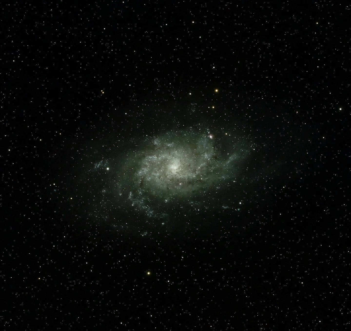 M33 Triangulum Galaxy

All the other &quot;deep space&quot; objects I've posted recently have been within our galaxy, no more than 7000ish light years away. This one however, is incredibly deeper, around 2.73 million light years from earth. All the s