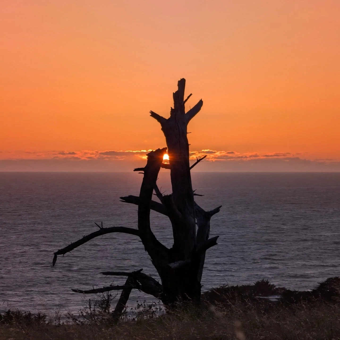 The sunsets down here in Cambria are legit! The #californiasculptorssymposium is fantastic! It's been a while since I've been around so many amazingly creative people. This week is flying by!