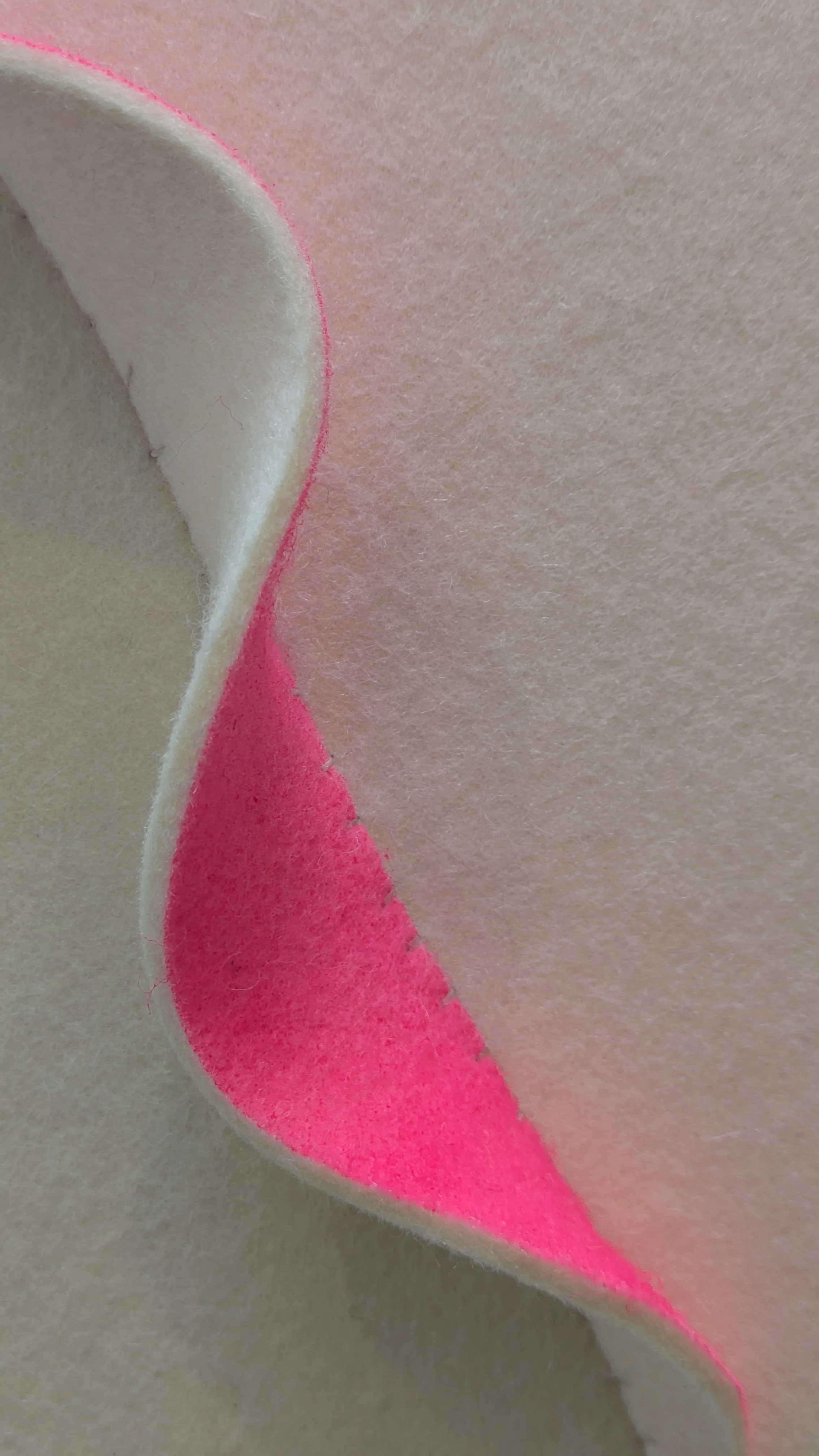 Metz Pinkness Study #22 Straight Ruffle Detail.jpg