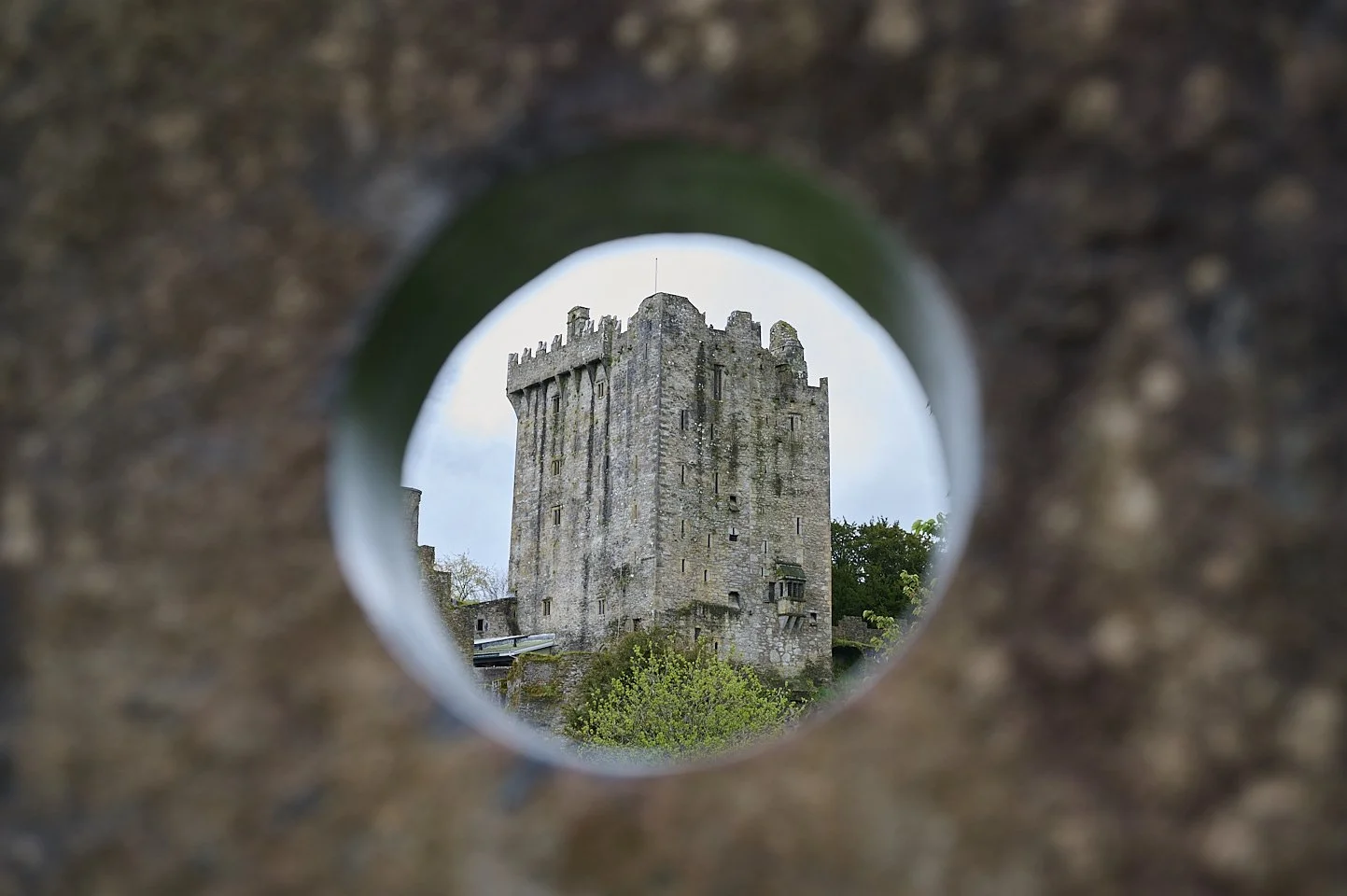20240429_BlarneyCastle_0012.jpg