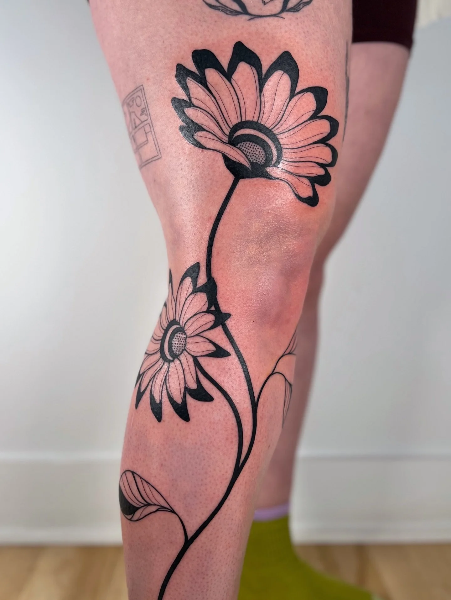 pale petal sunflowers just in time for Spring 〰️ 🌻
