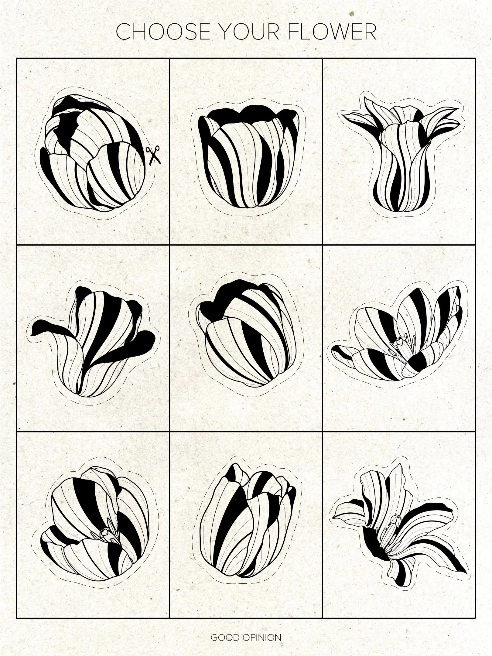 Untitled - February 28, 2026 18.36.27 copy 2.JPG