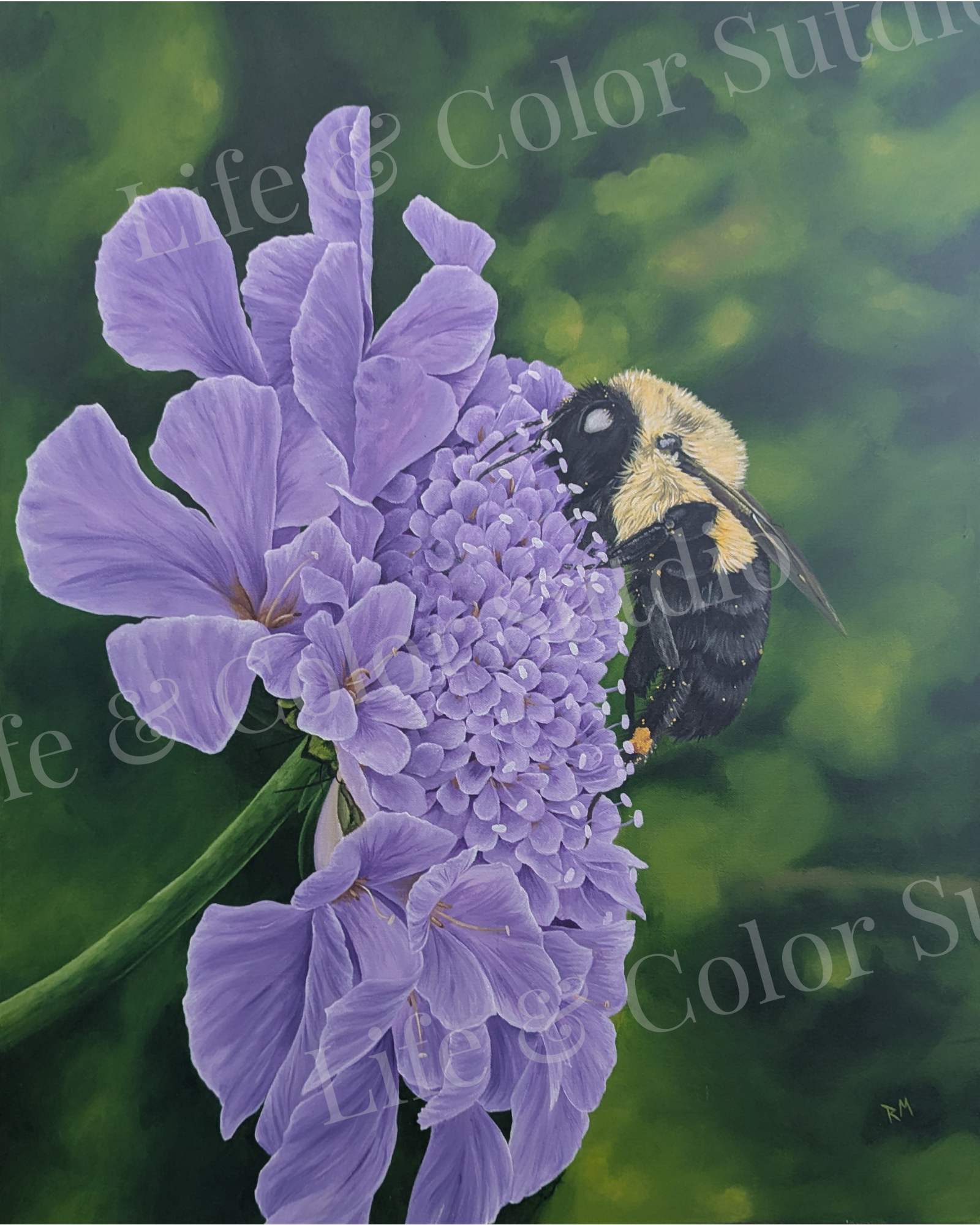 ** SOLD ** Inquire for prints