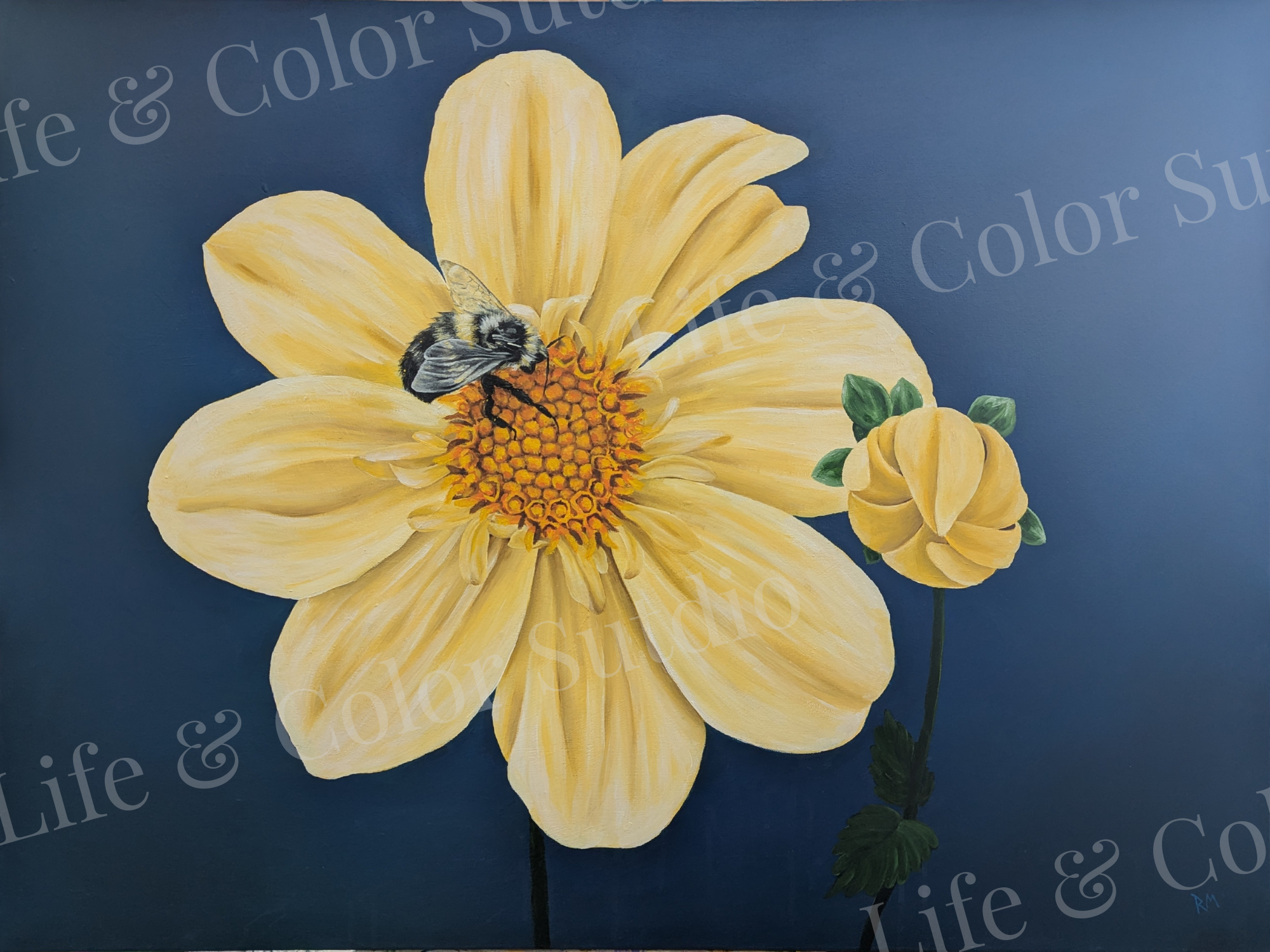 ** SOLD ** Inquire for prints