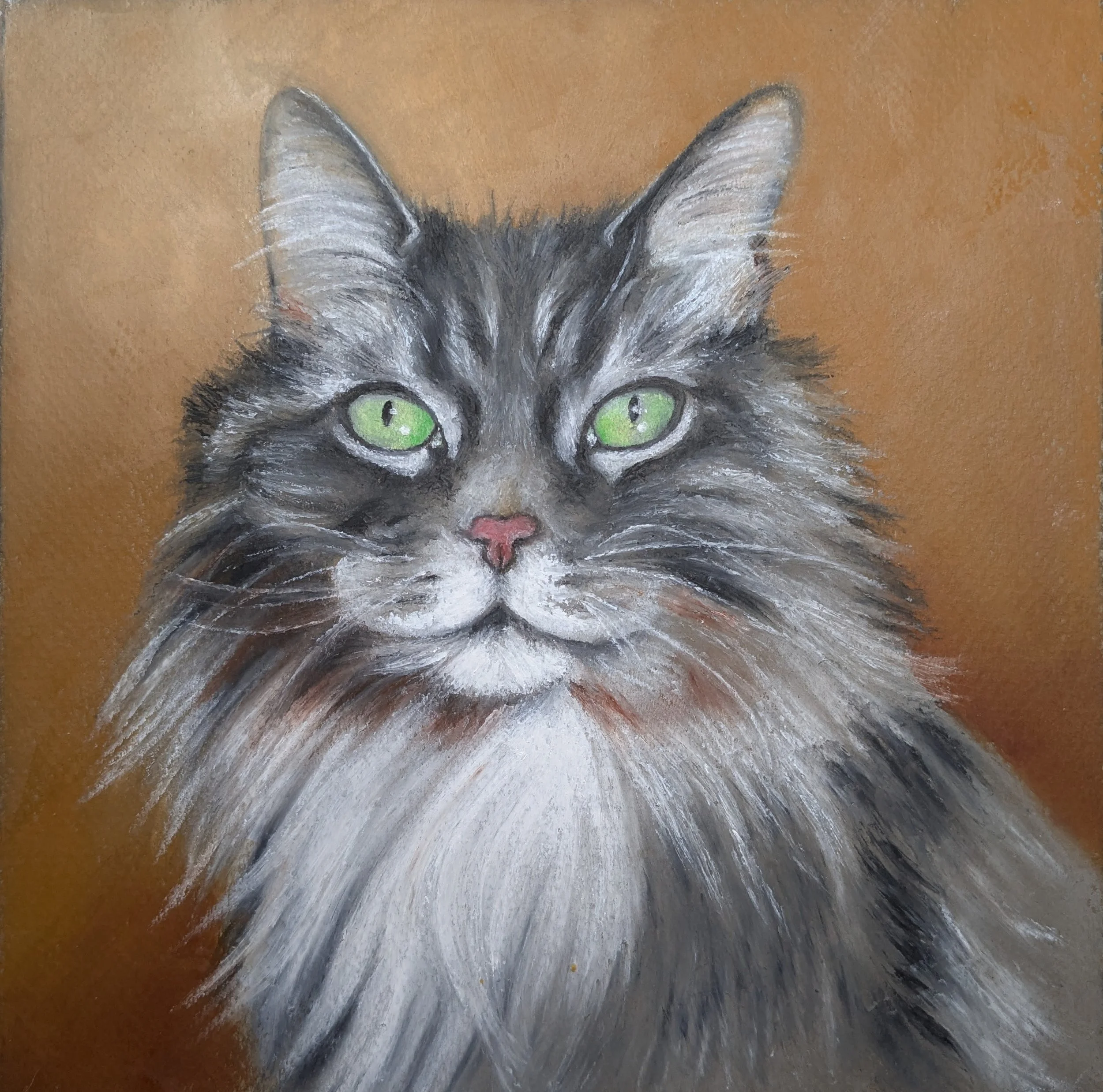 Oil Pastel 11.jpg