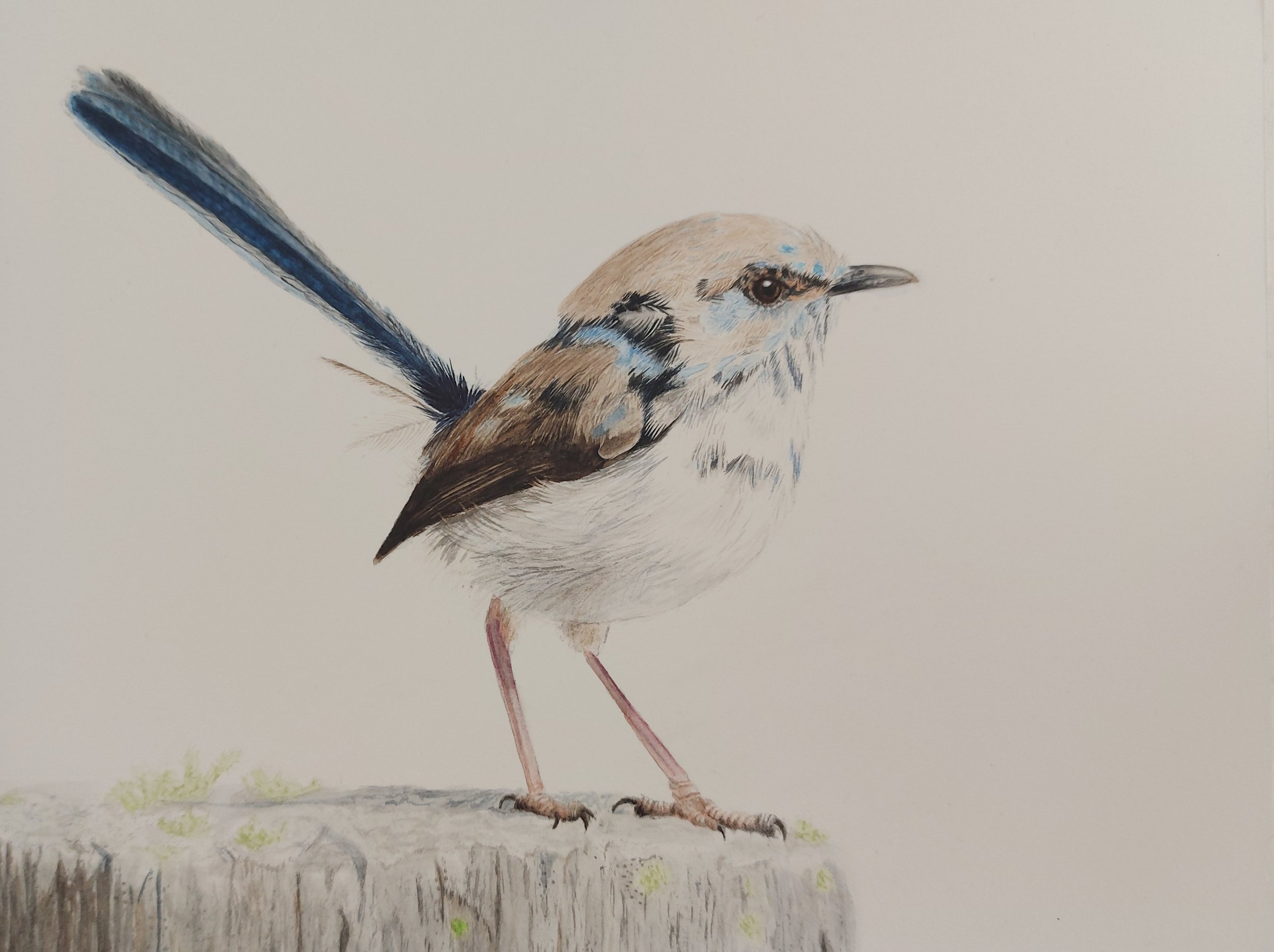 'Changing Tones' (Original Watercolor Painting 2024)
SOLD