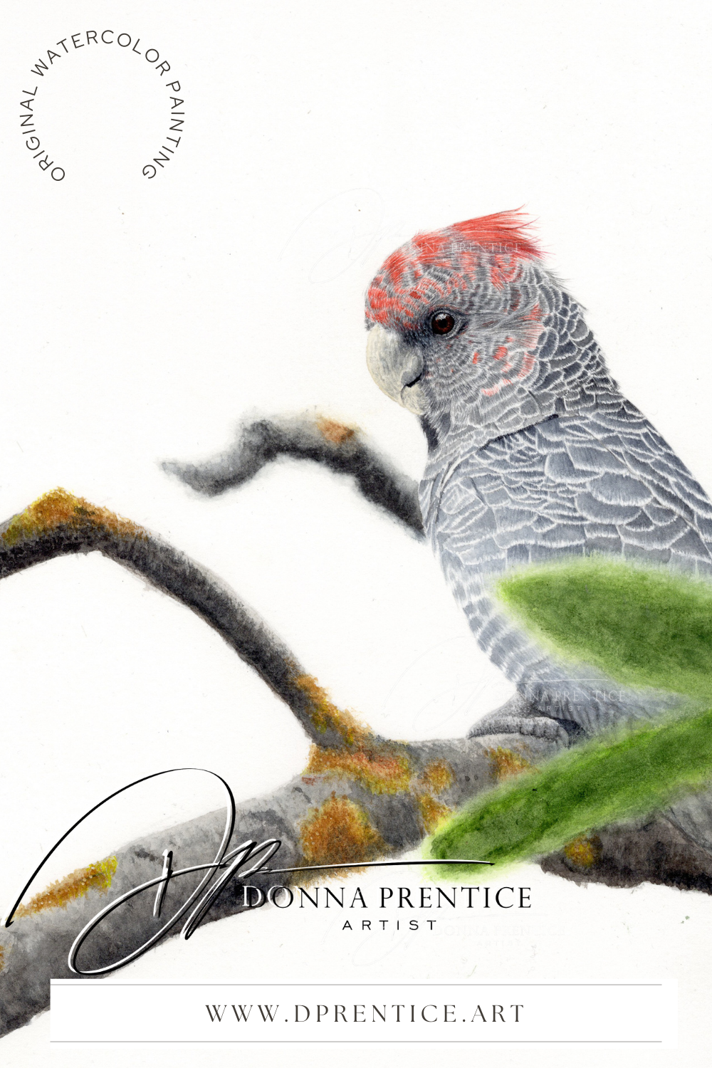 Curiosity (Original Watercolor painting 2025)
SOLD
