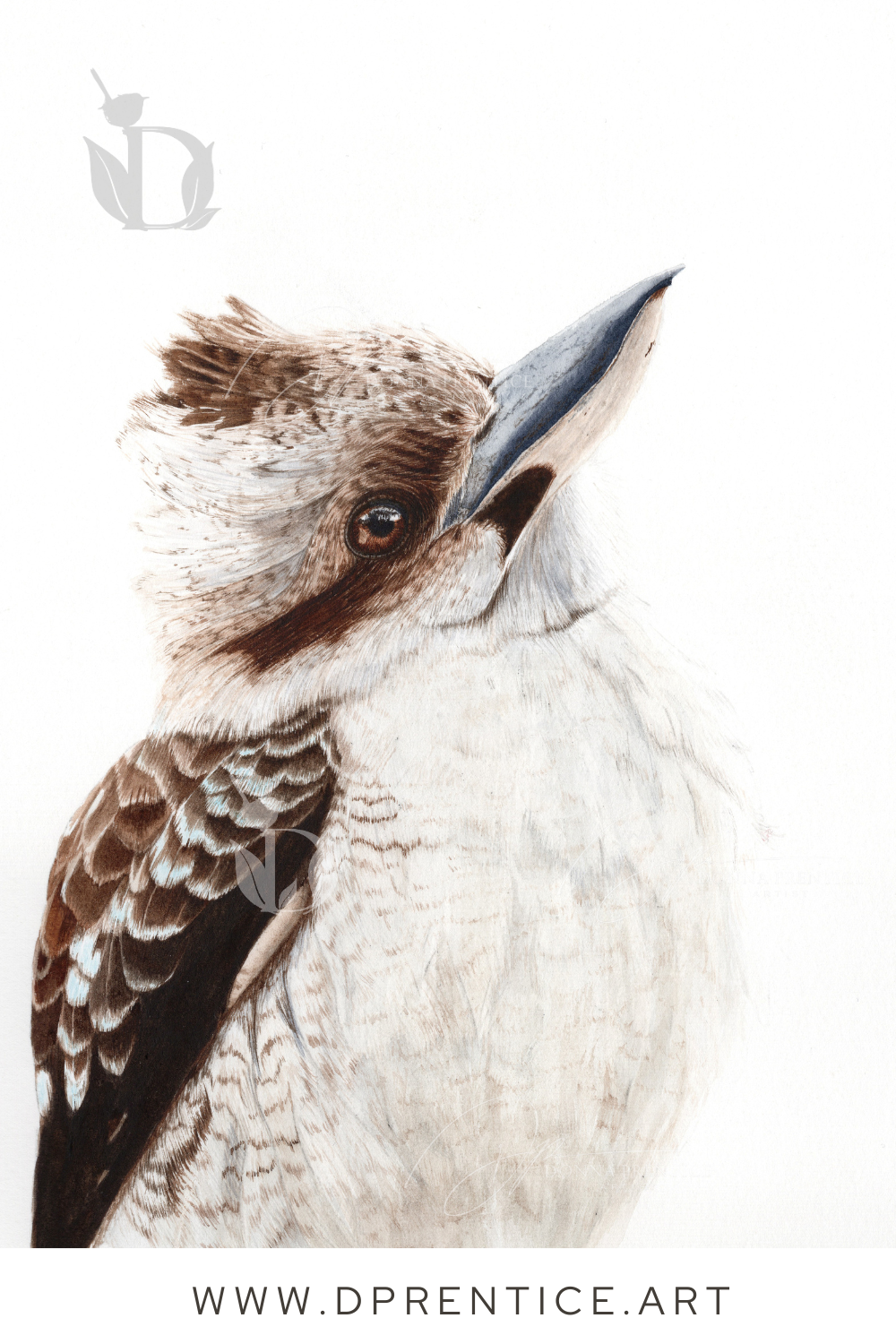 Watercolor kookaburra painting.  Original Australian Art
Available Garage Gallery Dunkeld