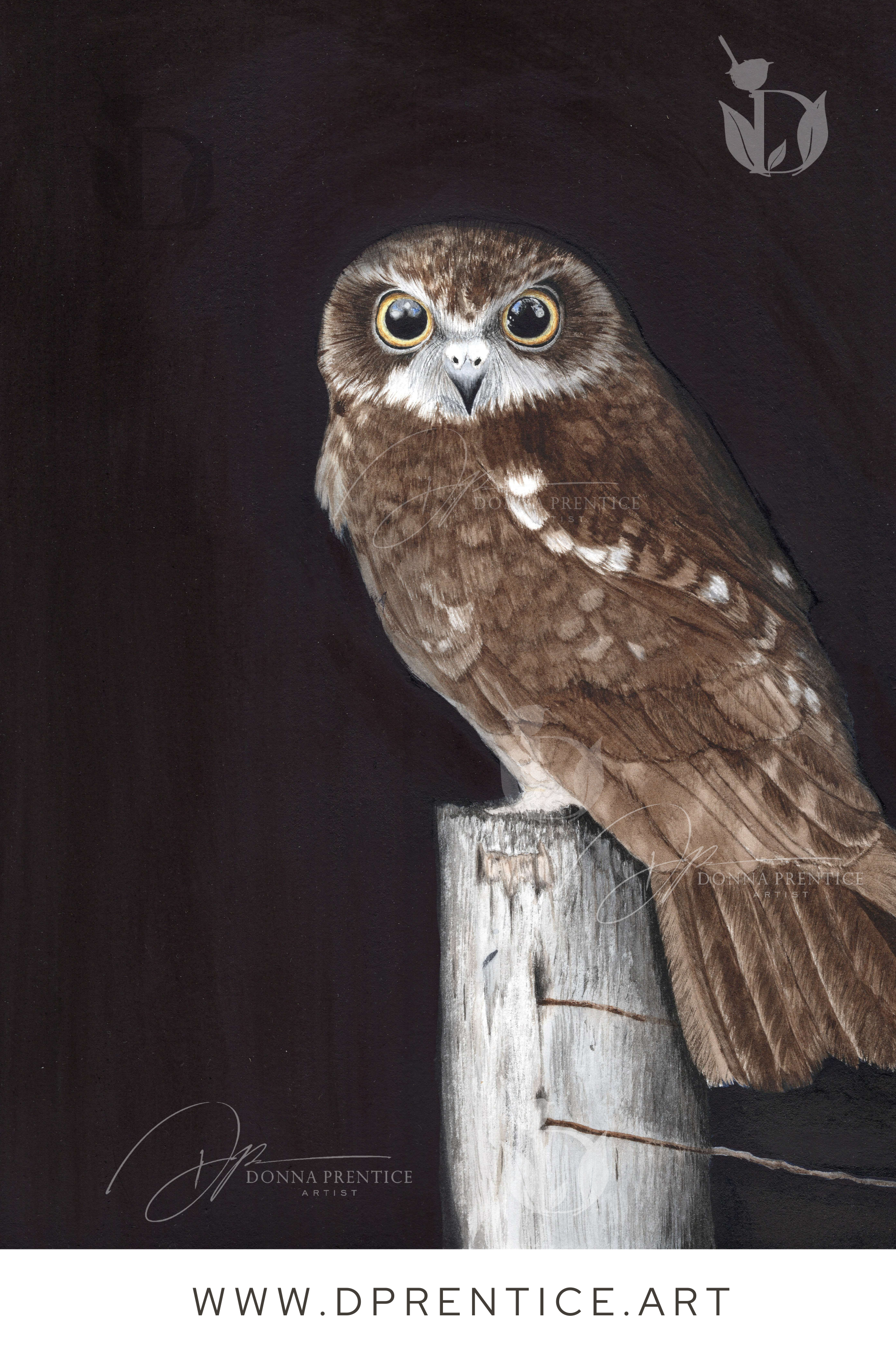 'Mouse Patrol' (original watercolor painting 2025)
Available Garage Gallery Dunkeld