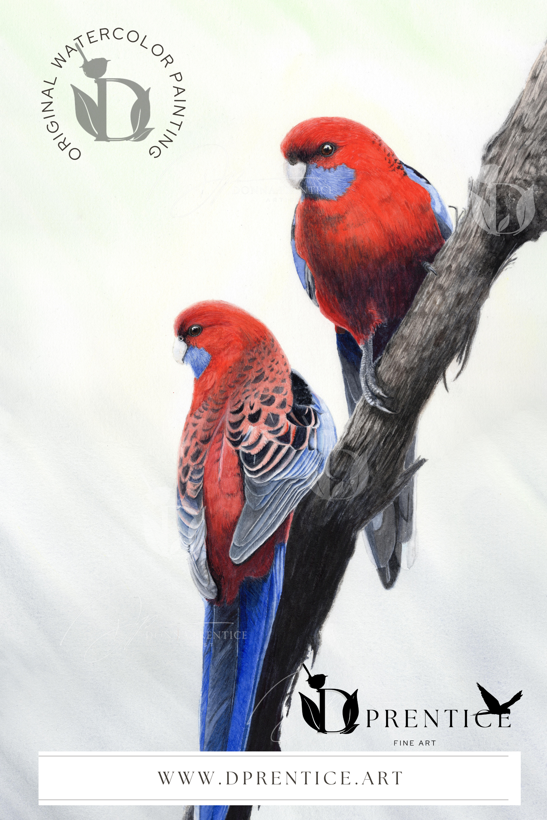 Red (Original Watercolor painting 2025)
Available Garage Gallery Dunkeld