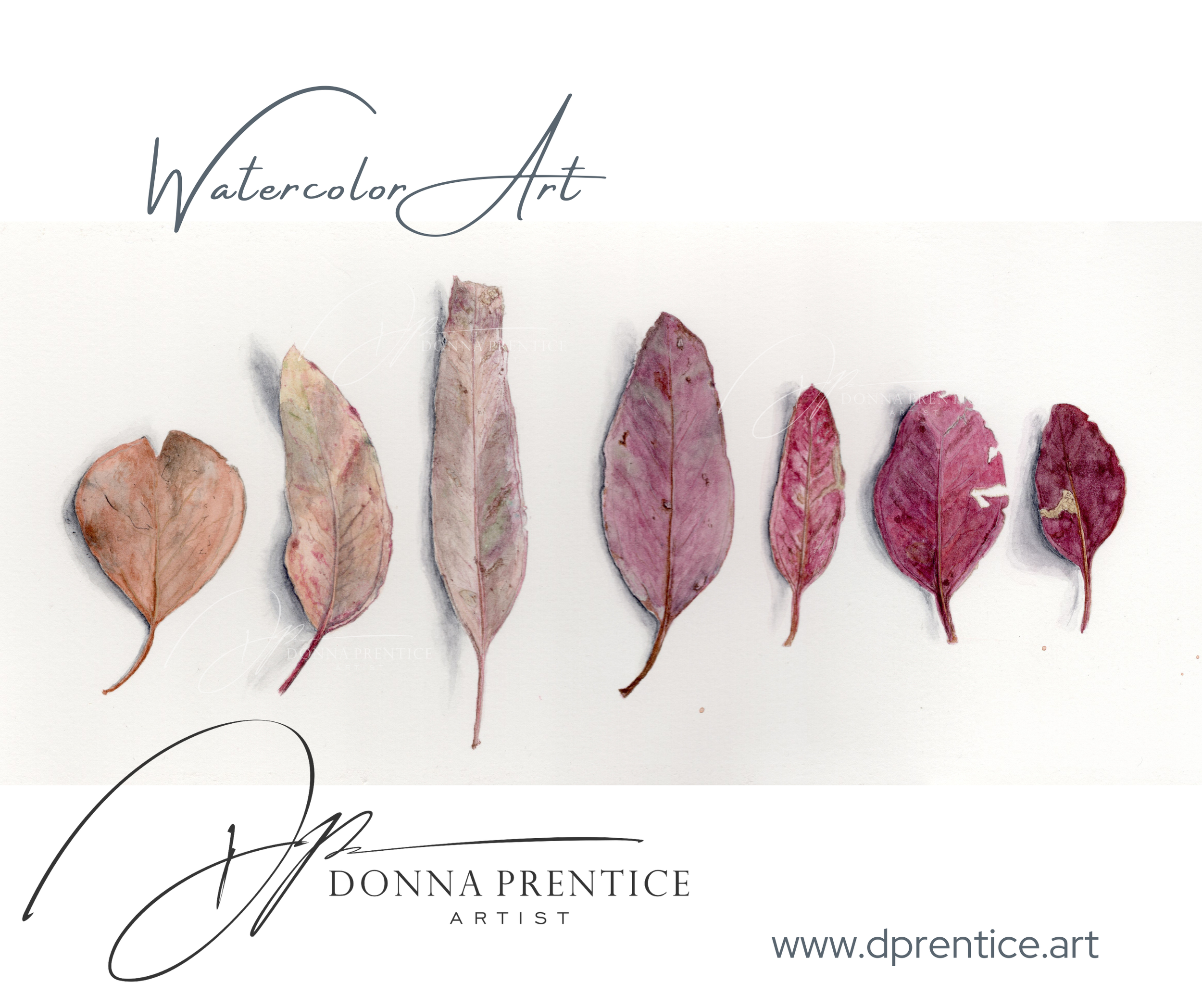 Ocre Gum (Original Watercolor Painting 2025)
Available Garage Gallery Dunkeld