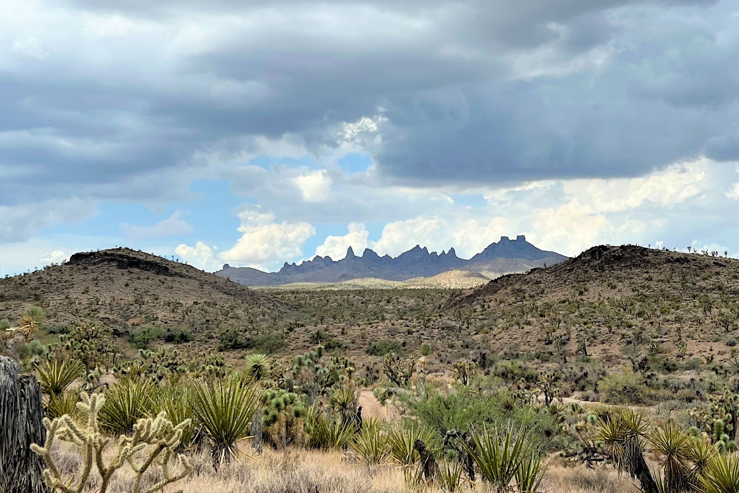 Castle Mountains in distance .JPG