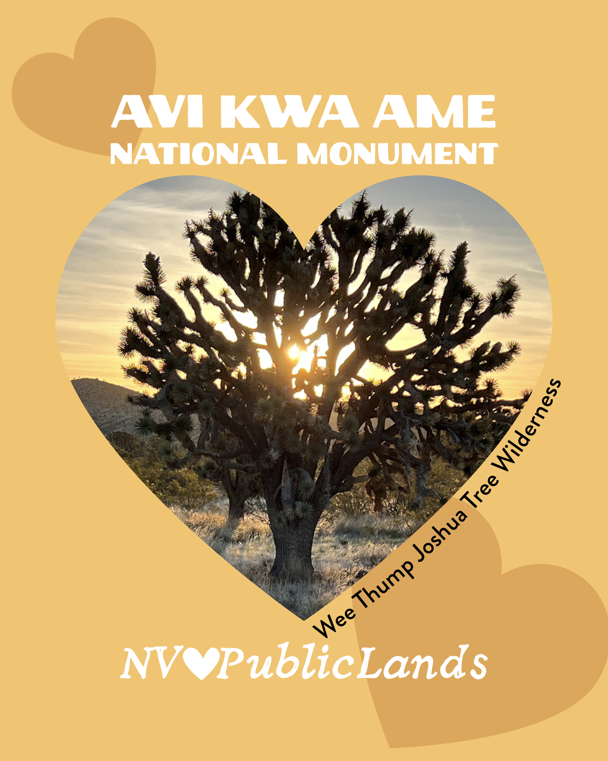 NVLOVESPUBLICLANDS_AviKwaAme-WeeThumpJoshuaTree.png