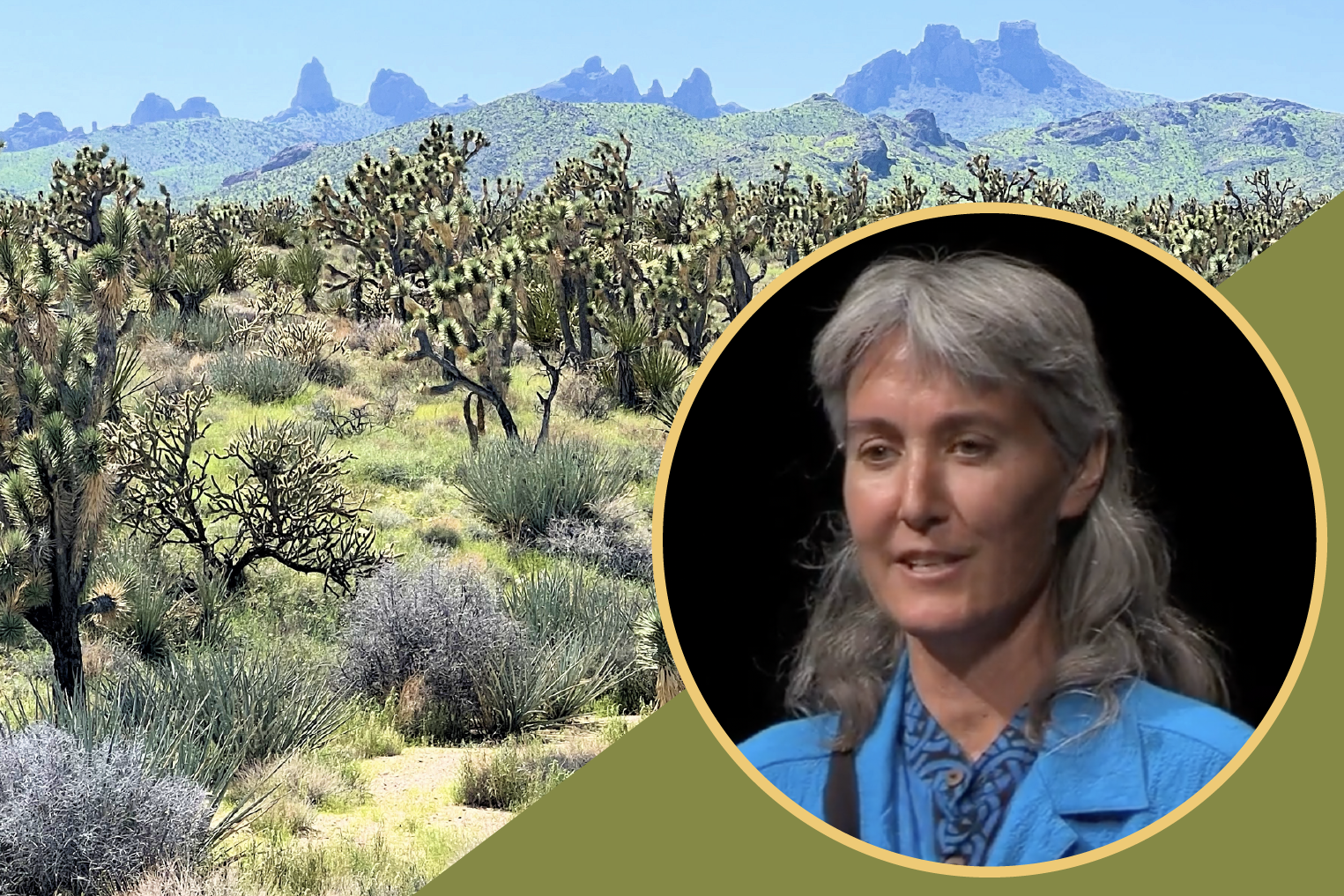 FIRST SATURDAY at Walking Box Ranch// Native Grasses Hike with Laura Cunningham