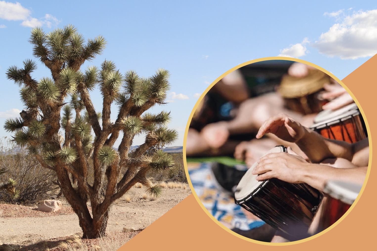 FIRST SATURDAY at Walking Box Ranch// Community Drum Circle