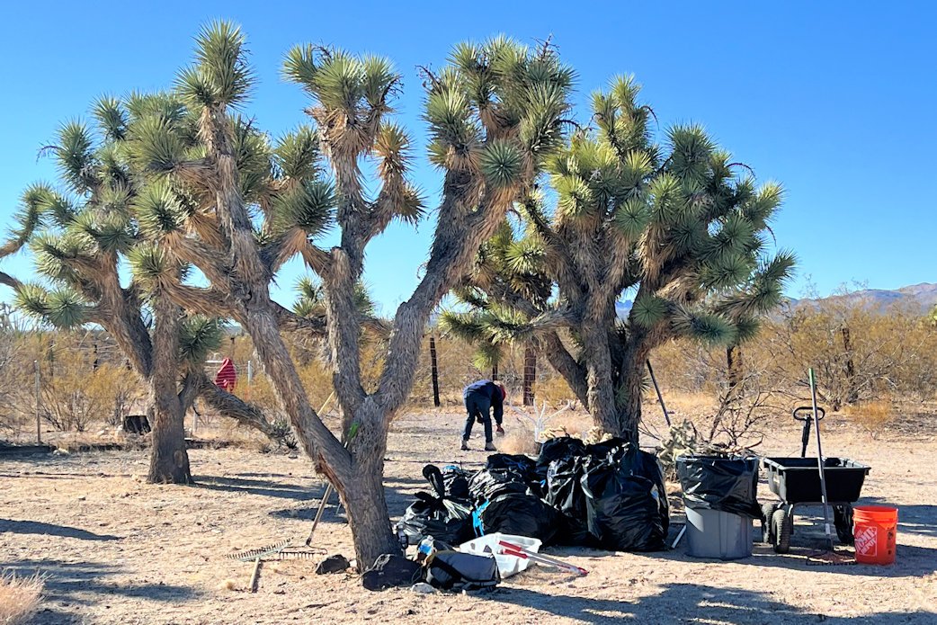 successful cleanup .JPG