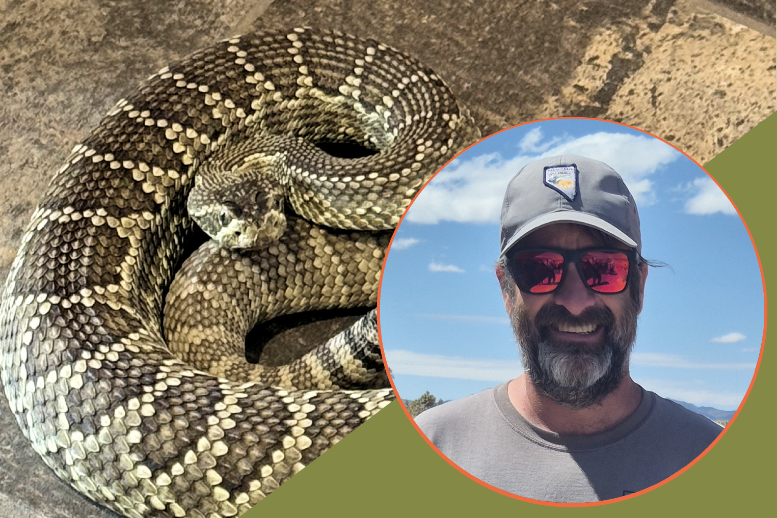FIRST SATURDAY at Walking Box Ranch // Reptiles of Nevada