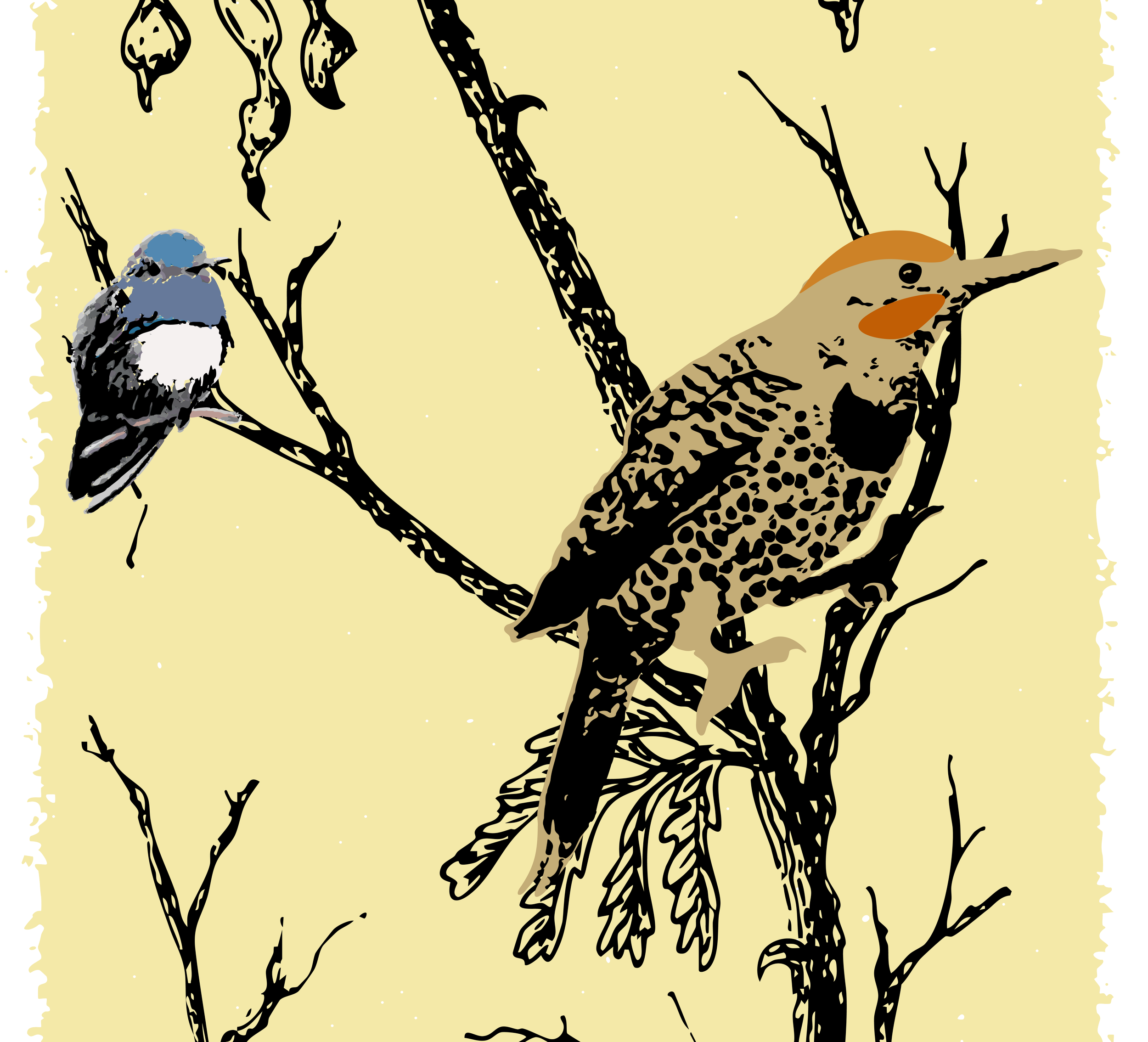 SPRINGTIME FOR BIRDS IN AVI KWA AME