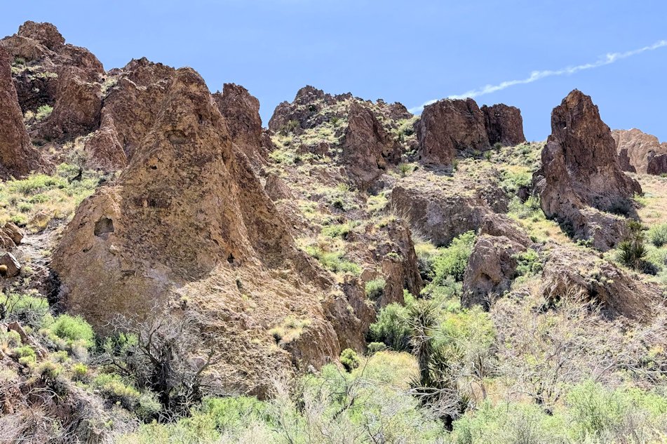 Castle Mountains Backcountry Loop Drive (2).jpg