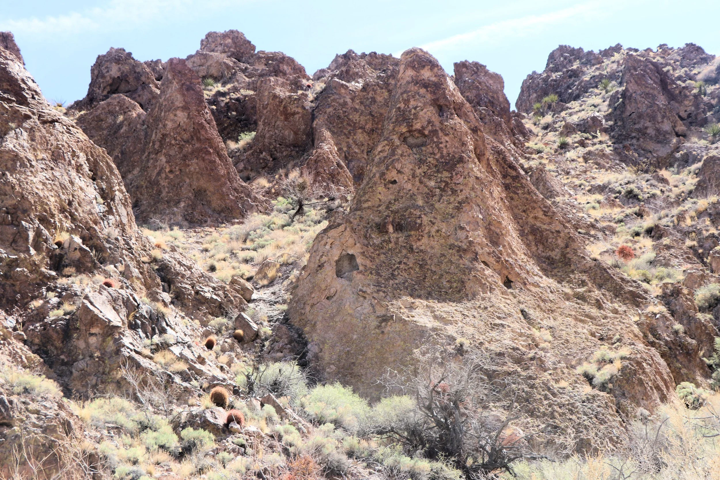 Castle Mountains Backcountry Drive (10).JPG