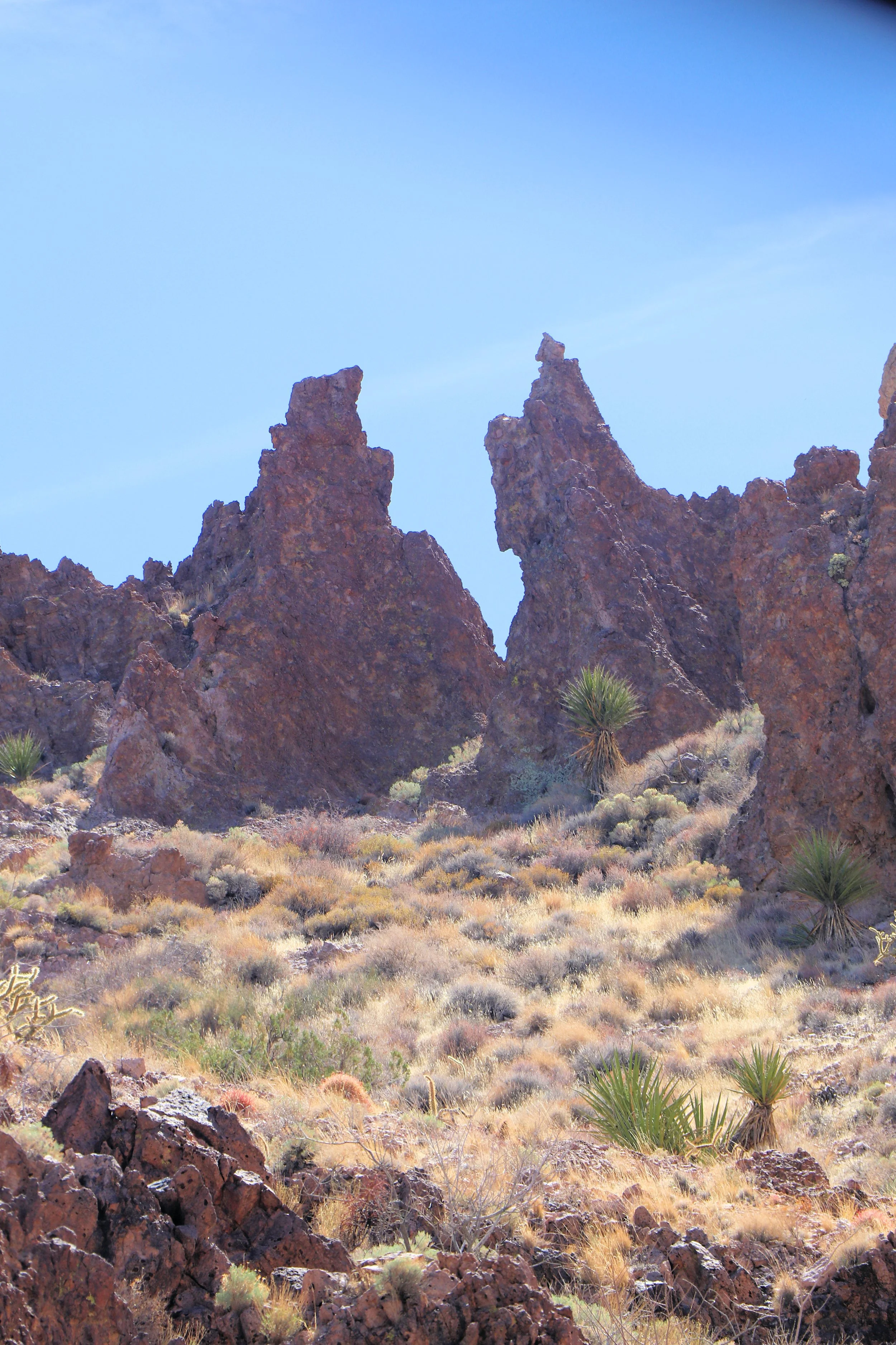 Castle Mountains Backcountry Drive (11).JPG