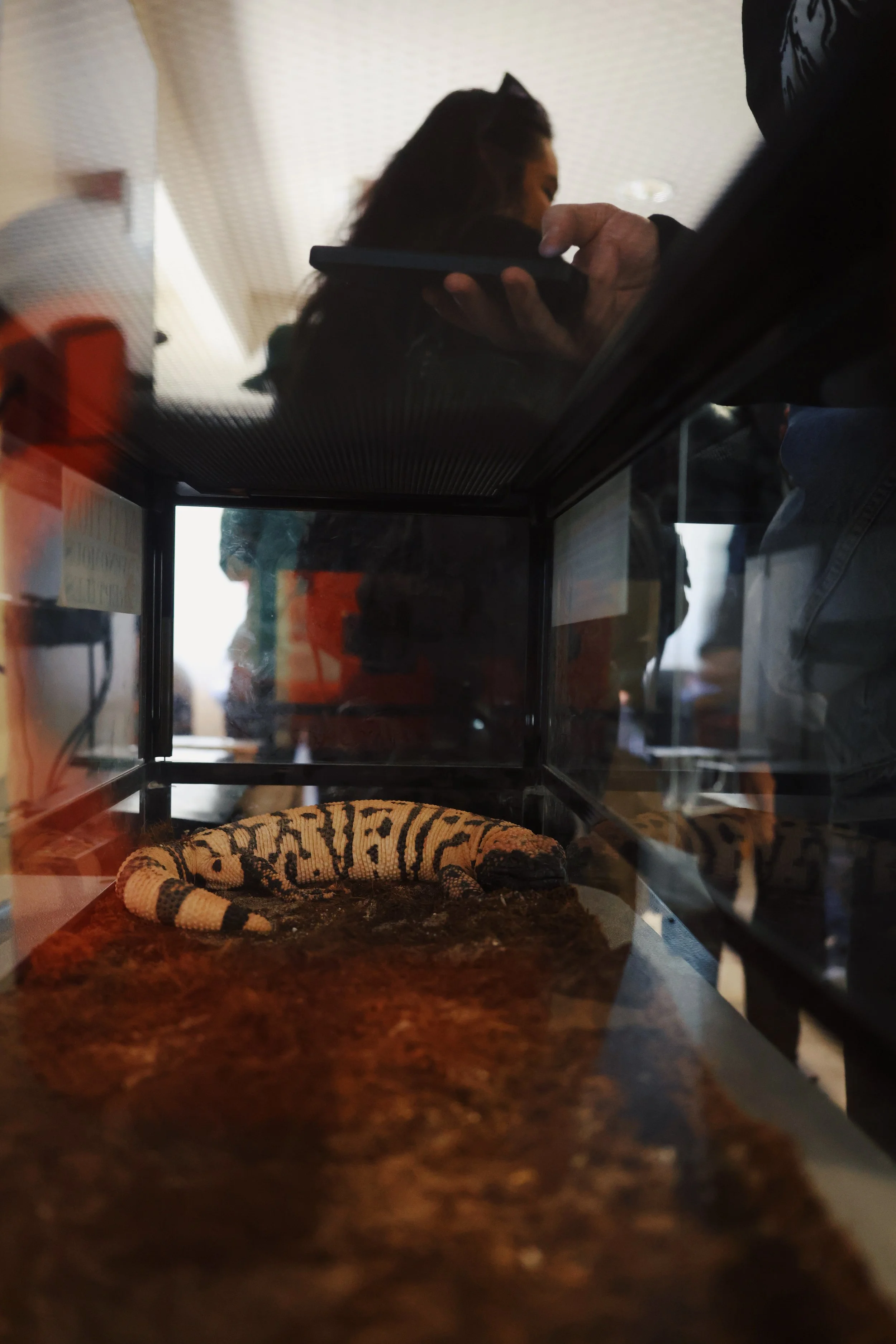20260307_Faka_ReptileTalk_March_0012.JPG