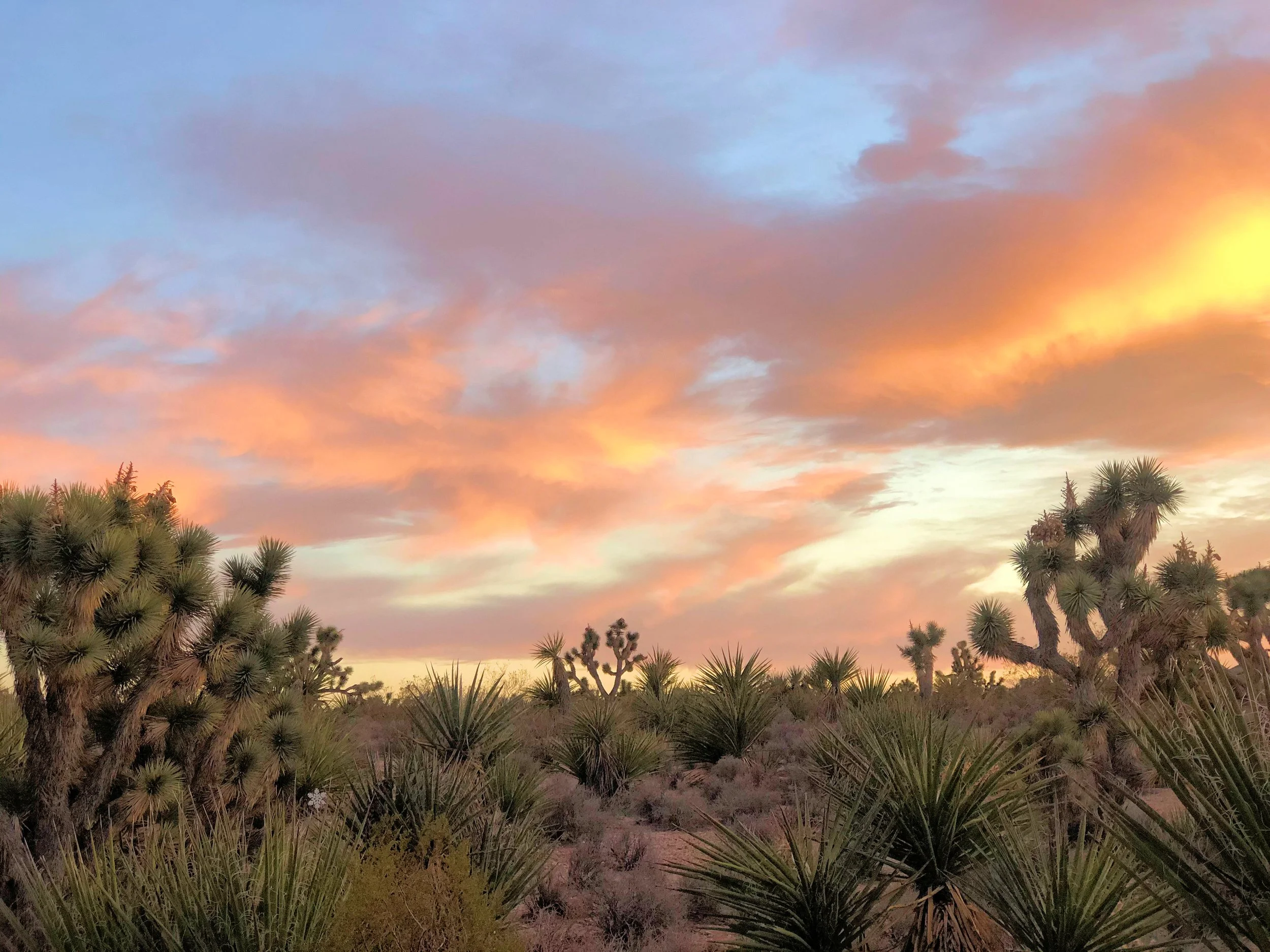 Wee Thump Loop BC Drive. - sunset.JPG