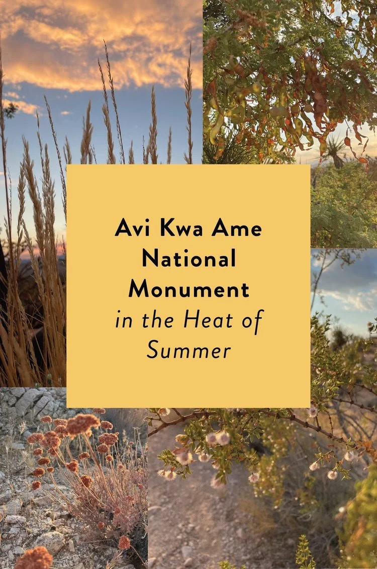 Avi Kwa Ame National Monument ~ in the Heat of Summer