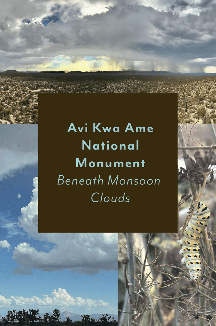 Avi Kwa Ame National Monument ~ Beneath Monsoonal Clouds