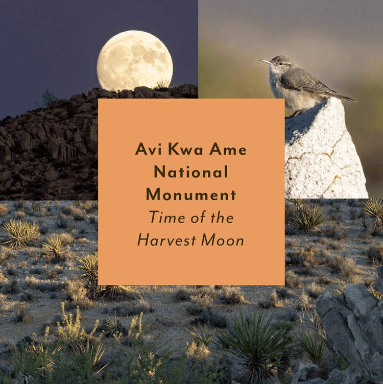 Avi Kwa Ame National Monument ~ Time of the Harvest Moon 