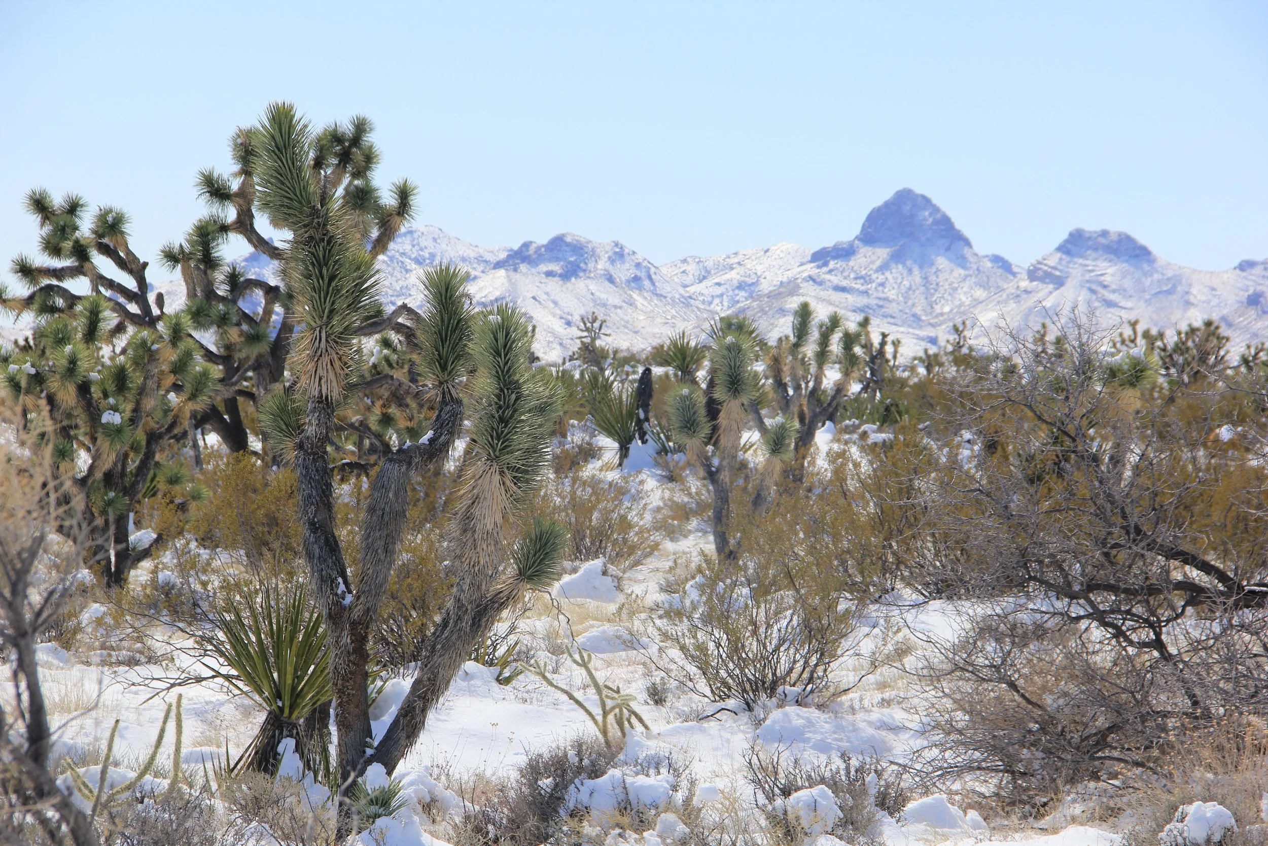 Walking Box Ranch Road Scenic Drive .JPG