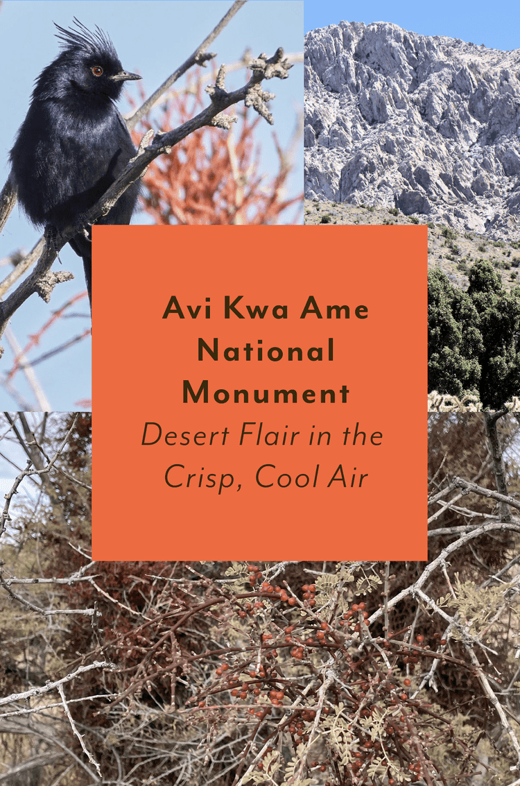 Avi Kwa Ame National Monument ~ Desert Flair in the Crisp, Cool Air