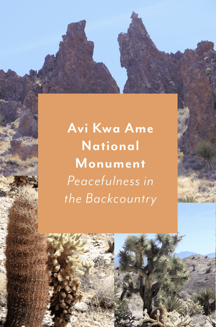 Avi Kwa Ame National Monument ~ Peacefulness in the Backcountry