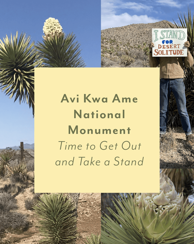 Avi Kwa Ame National Monument ~ Time to Get Out and Take a Stand