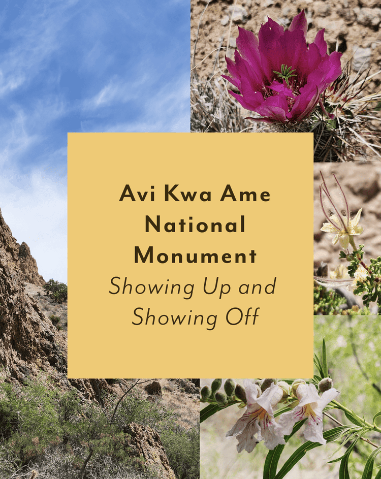 Avi Kwa Ame National Monument ~ Showing Up and Showing Off