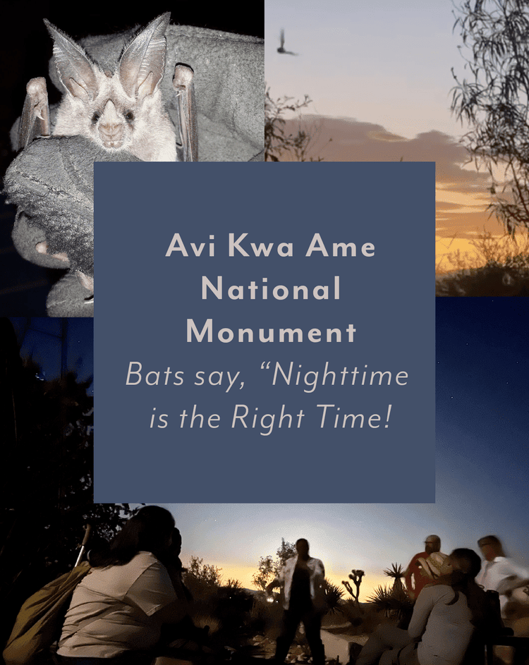 Avi Kwa Ame National Monument ~ Bats say, “Nighttime is the Right Time!”