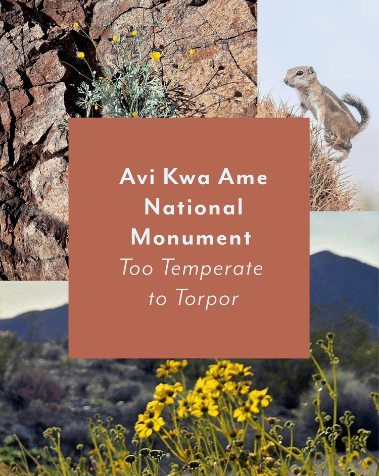 Avi Kwa Ame National Monument ~ Too Temperate to Torpor