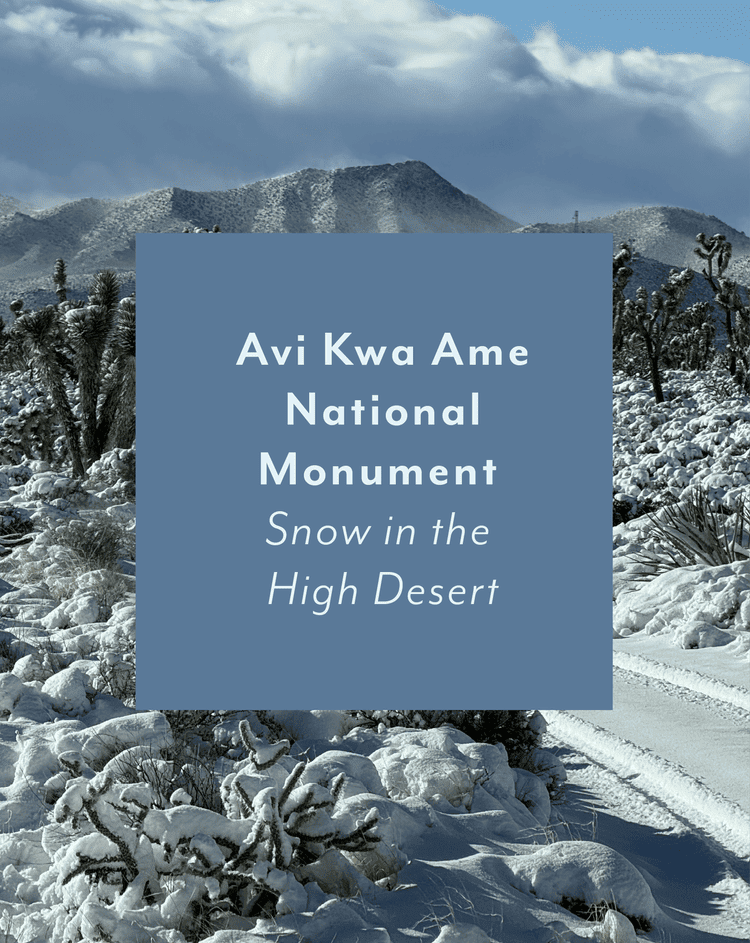 Avi Kwa Ame National Monument ~ Snow in the High Desert