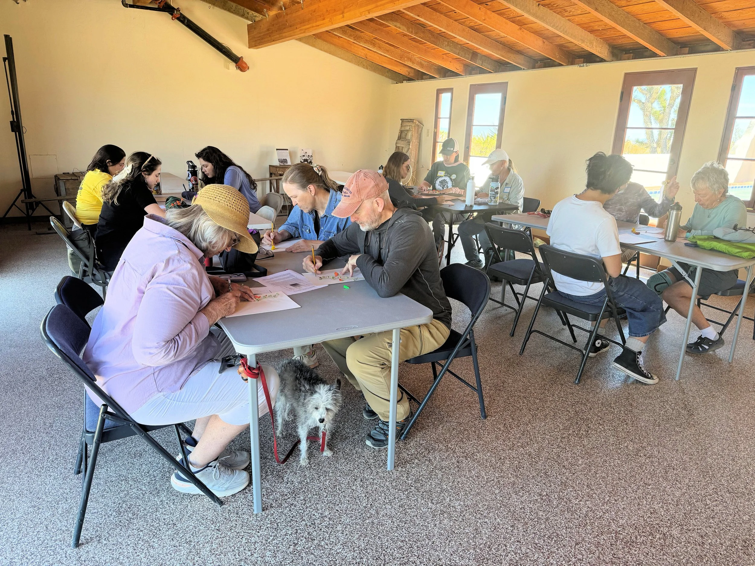 Friday Plant drawing woerkshop.JPG