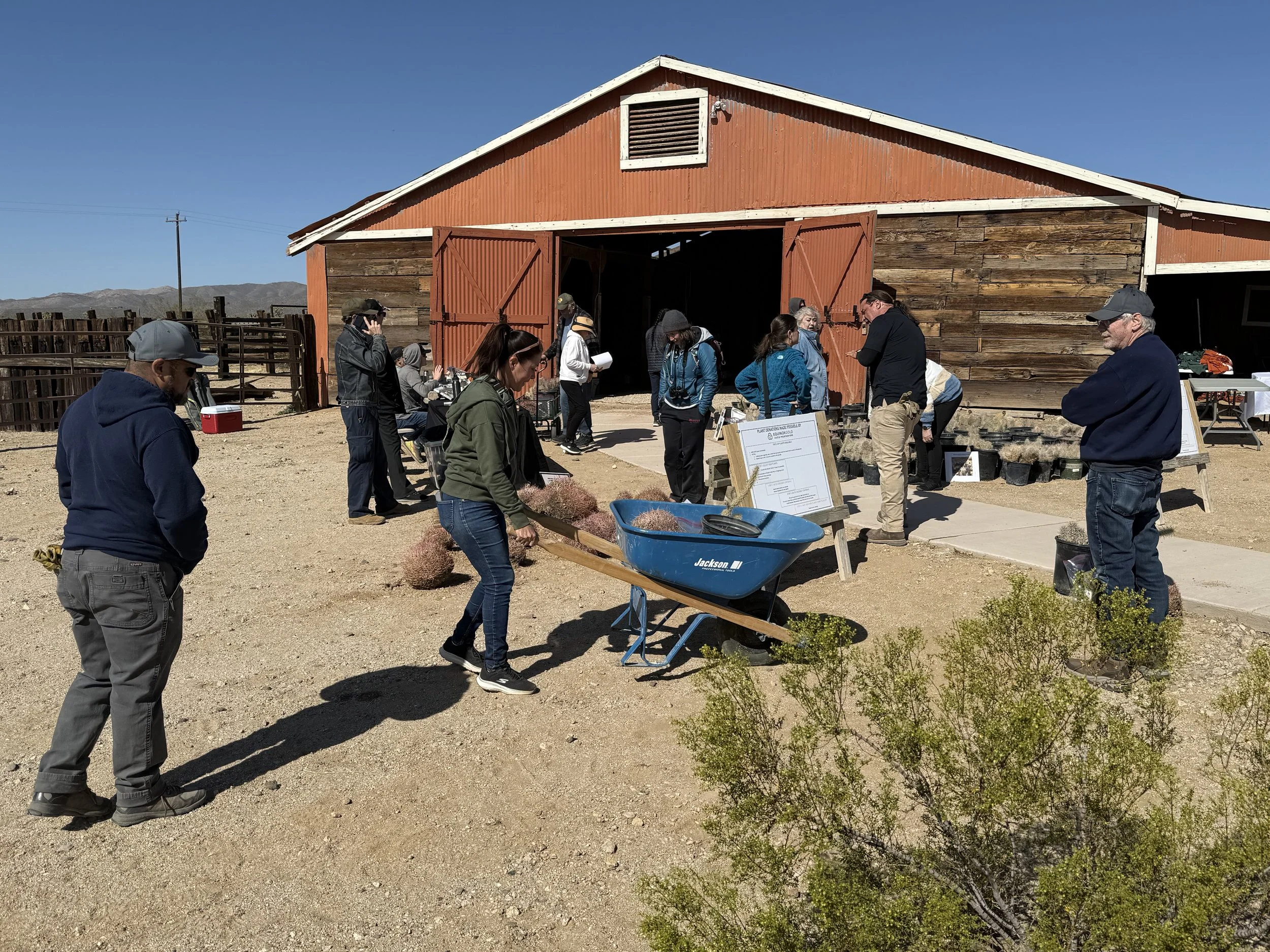 Saturday cactus give-away (5).JPG