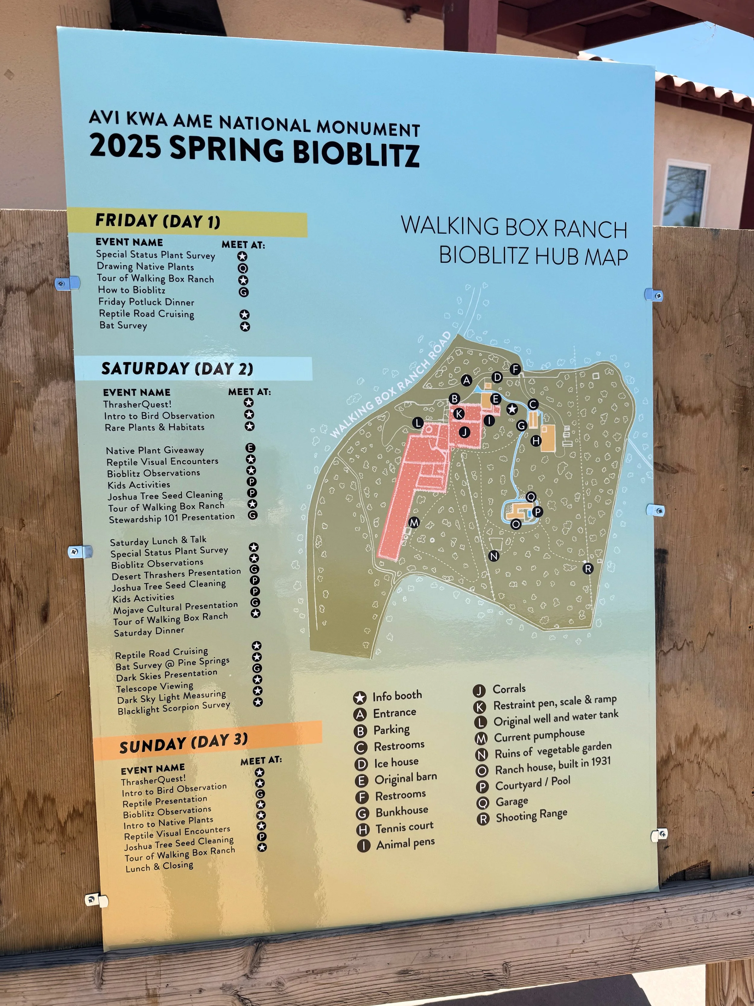 Bioiblitz information,poster.JPG